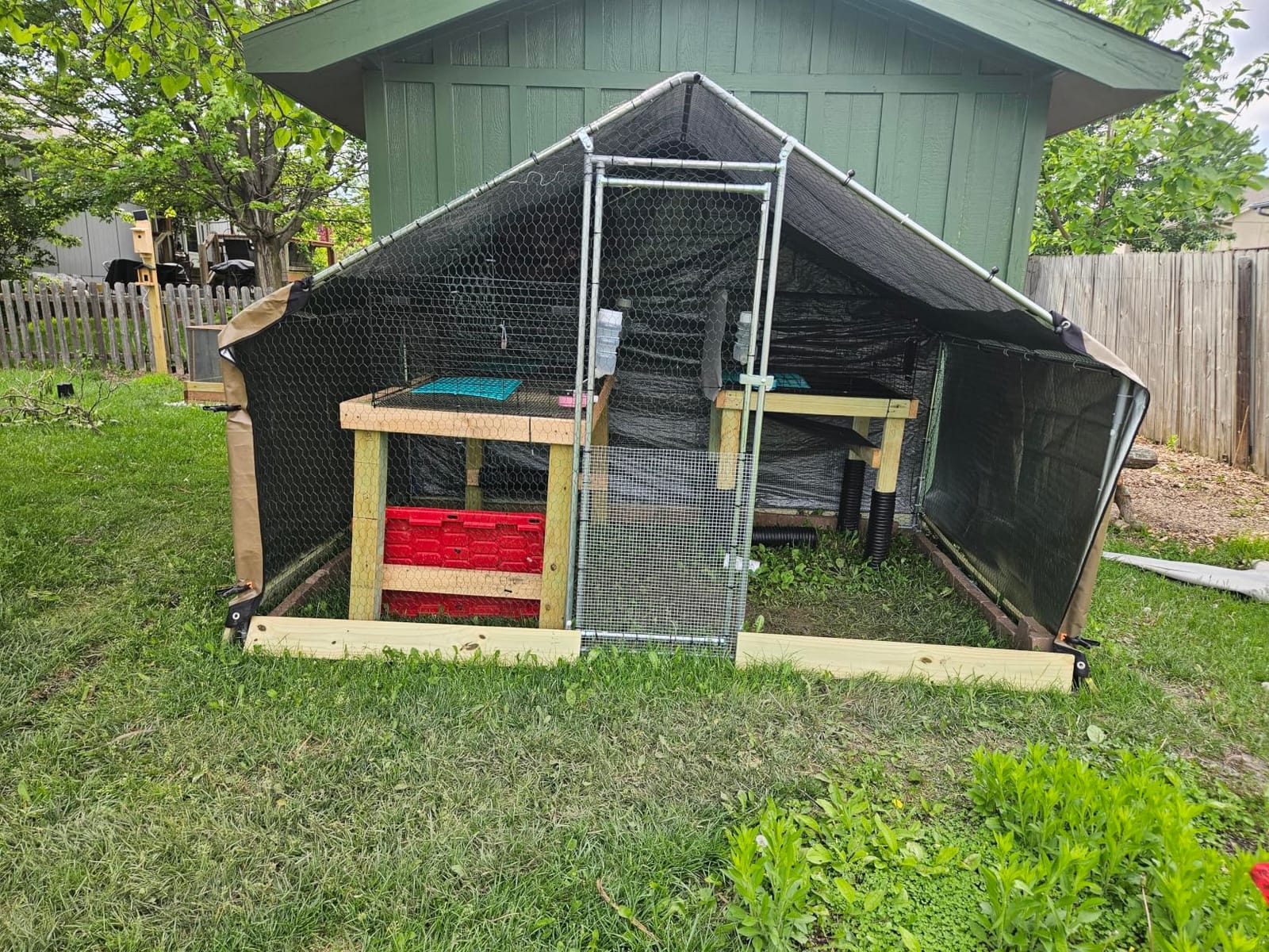 VEVOR Metal Chicken Coop, 6.56x6.56x6.56ft Large Walk-in Chicken Run with Cover, Spire Roof Hen House Enclosure with Security Lock, Outdoor Duck Rabbit Cage, Poultry Pen for Backyard, Farm, Yard customer photo 1