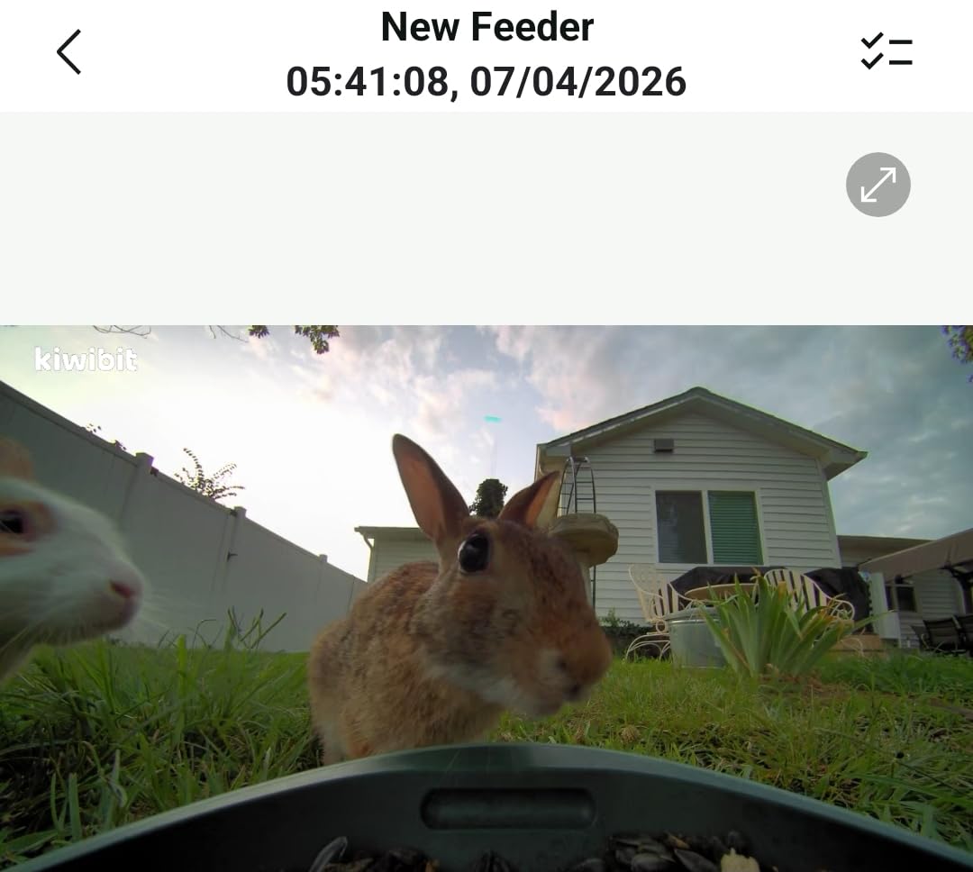 Kiwibit Smart Bird Feeder with 4K AI Camera Solar Powered, Easy Setup | AI Bird Identification for 10,000+ Species, 8MP Photo, Instant Bird Alert customer photo 2