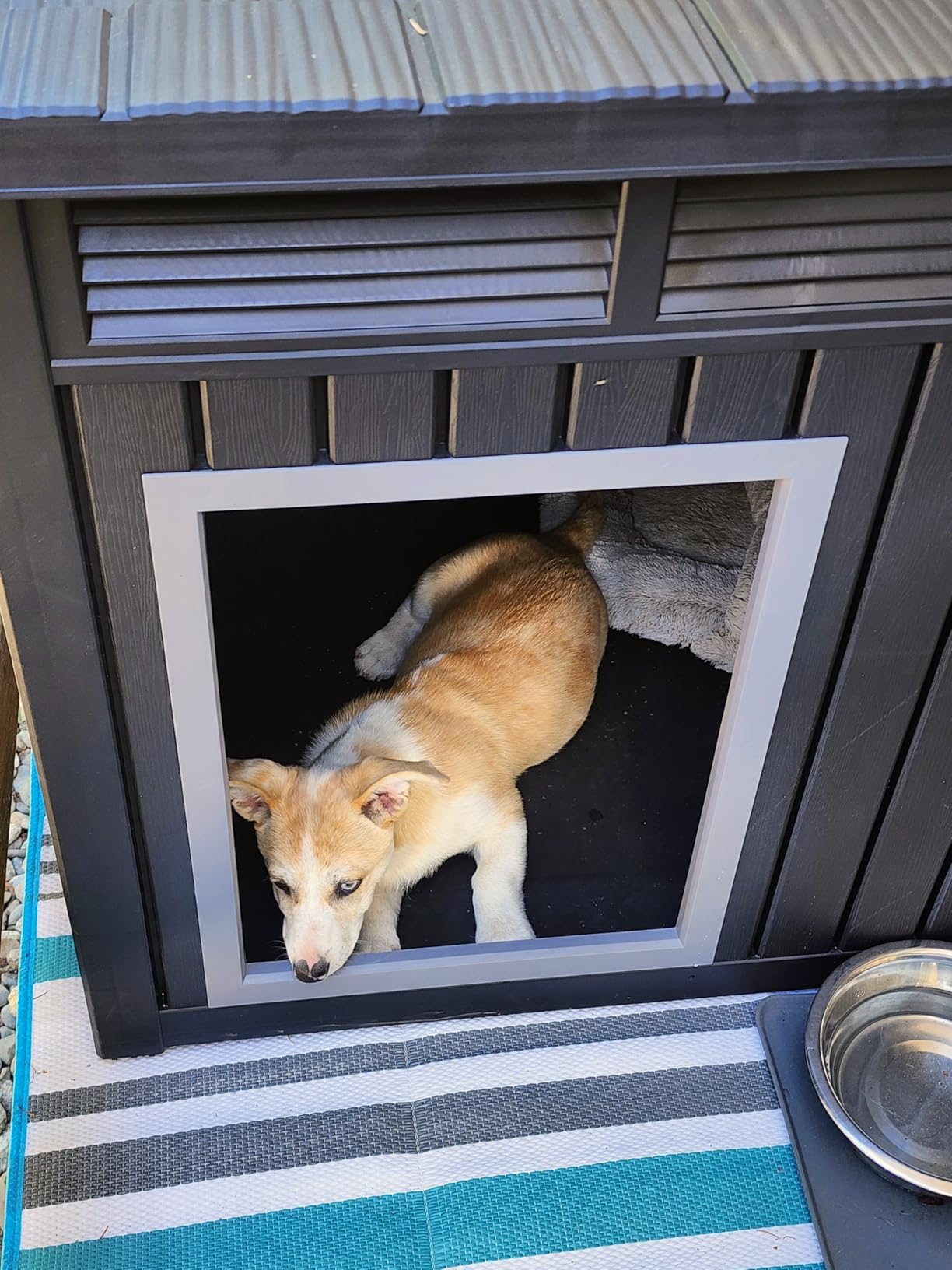 DRATO Large Dog House Outdoor for Indoor with Weatherproof & Removable Roof, Fits Small to Large (Black, 42.87 * 32.95 * 31.61'') customer photo 2