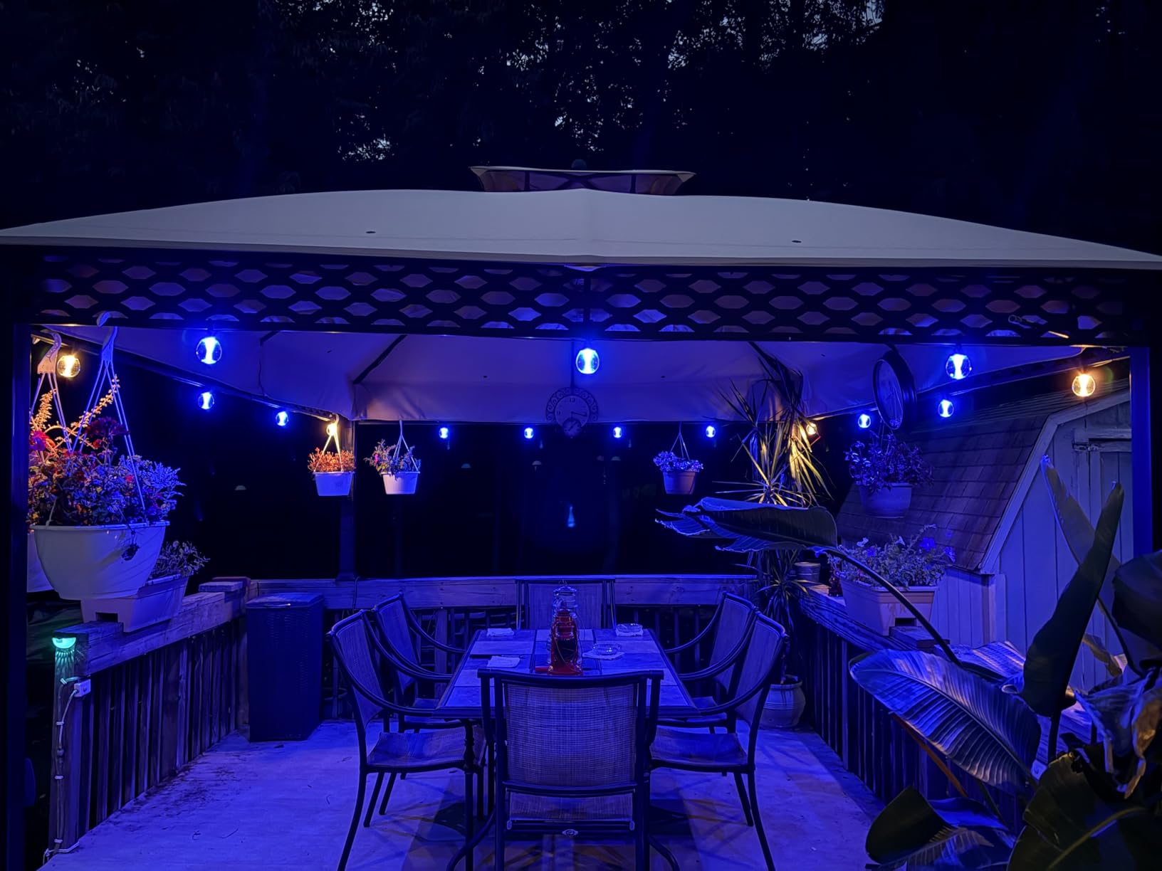 Govee Clear Bulb Outdoor String Lights, 96ft IP67 Patio & Backyard Lights | 30 RGBWIC Dimmable LED Bulbs, 111 Modes, Music Sync, IP67 Waterproof & Shatterproof, Work with Alexa, Google & Matter customer photo 2