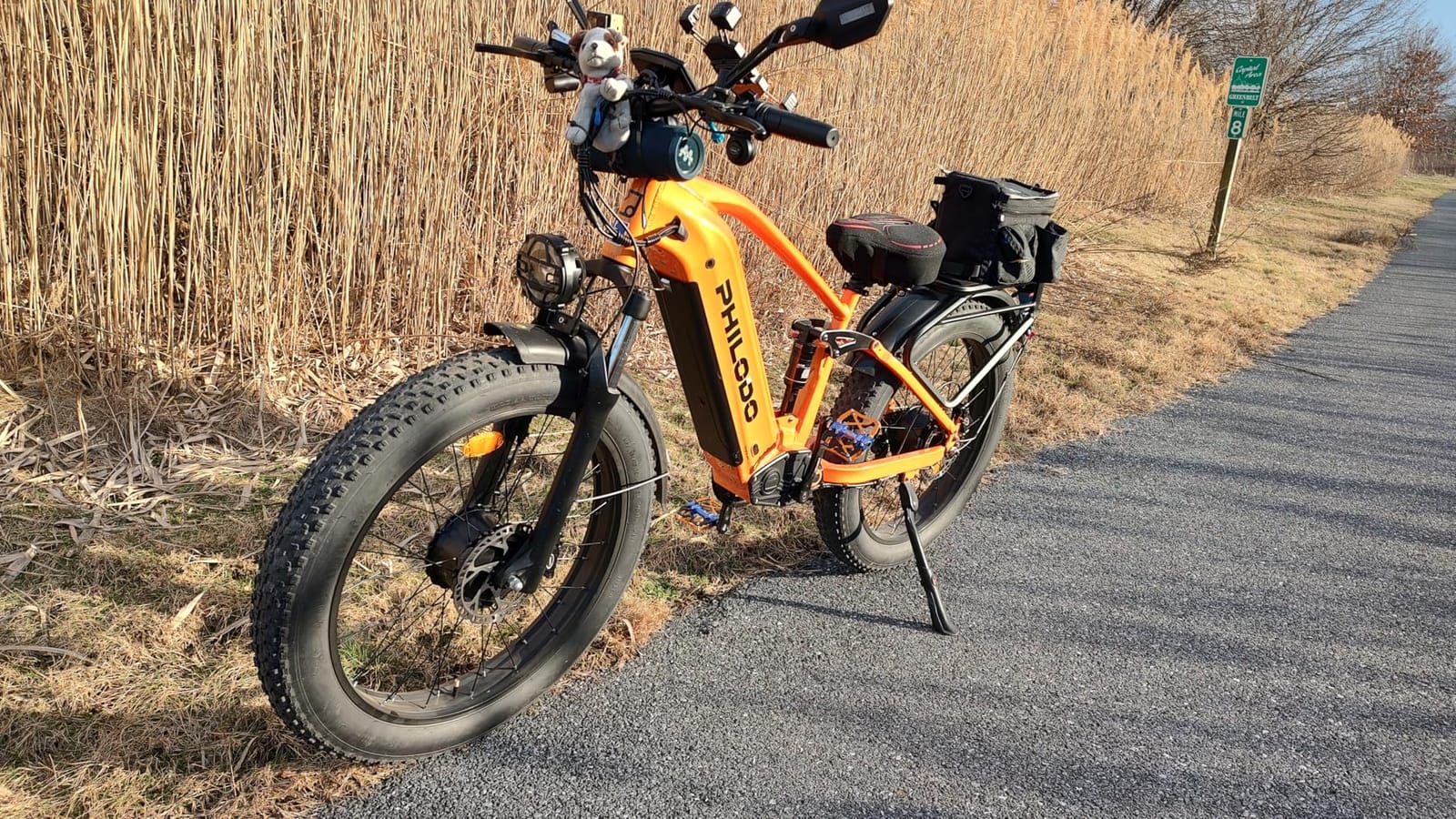 Falcon 60V Off-Road Electric Bike - Dual Motor Hunting Ebike, Fat Tire Full Suspension Dirt Bike for Adults, Long Range Snow/Sand Electric Bicycle customer photo 2