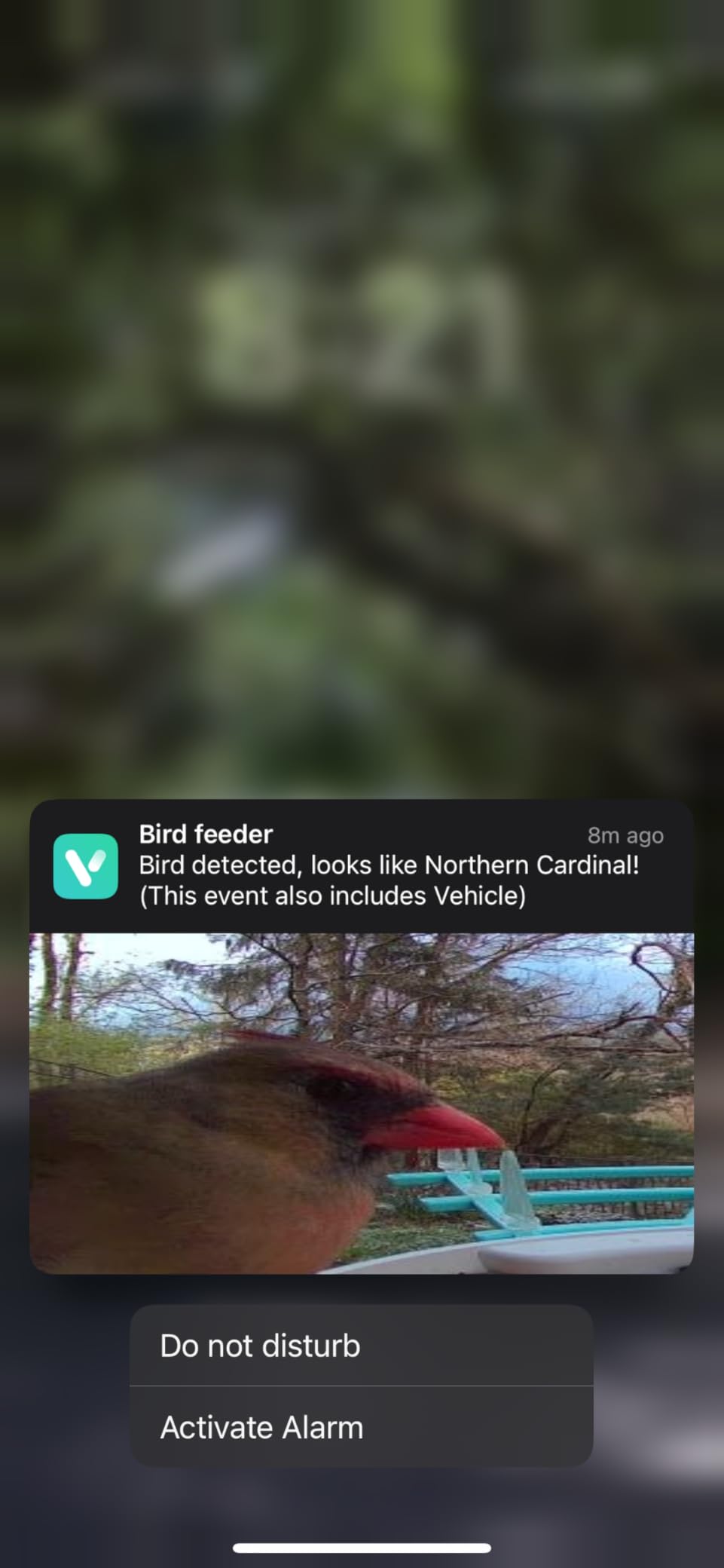 Bird Feeder with Camera, WiFi Smart Bird House with Cam Solar Powered | AI Identify, App Notification, Night Vision, 2K Live View, Auto Record Video customer photo 1