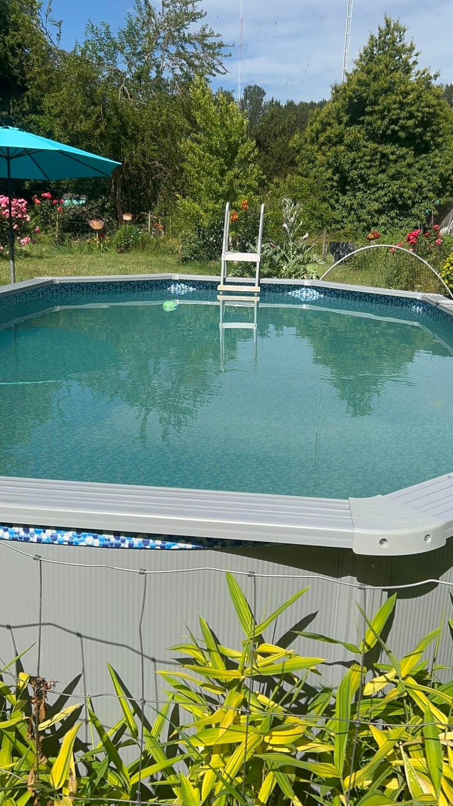 POOLWHALE Pool Cleaning Kit with Vacuum, Pool Net and Brush with Pole customer photo 2