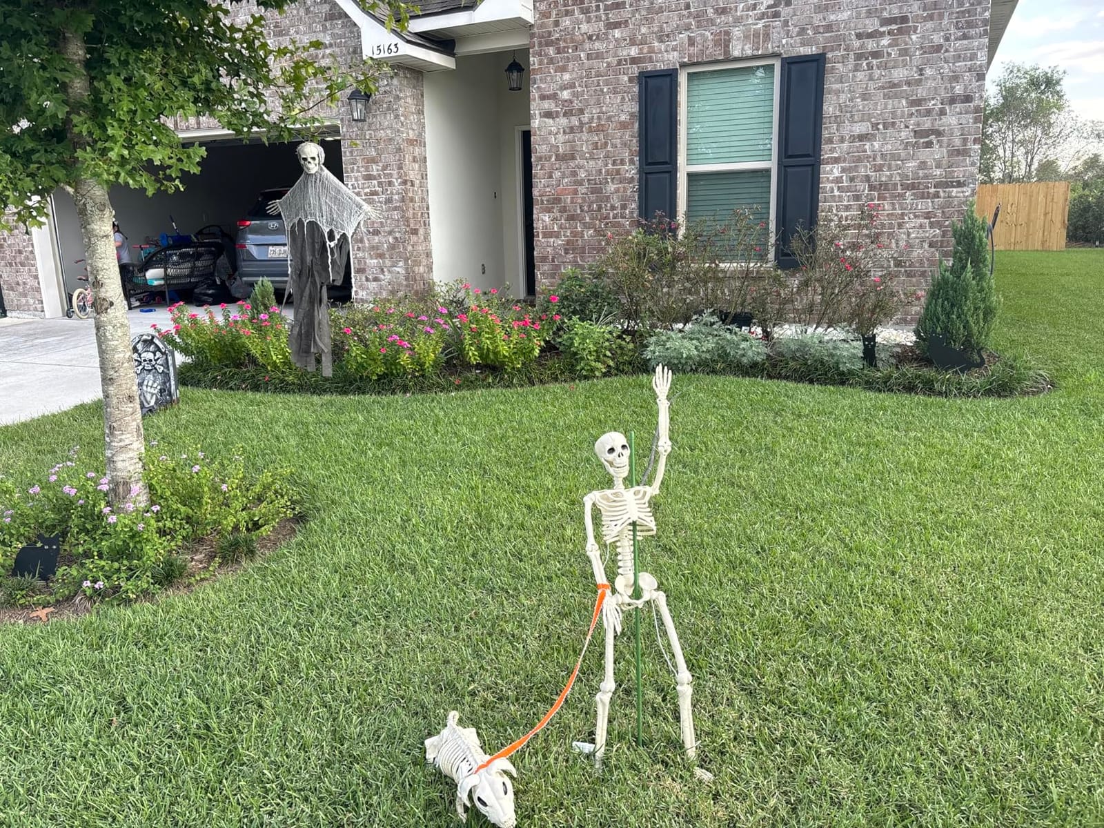 Lighted Human & Dog Skeleton Halloween Decorations Outdoor/Indoor - 36 Inch Realistic Full Body Movable Posable Skeleton Spooky Halloween Decor for Garden Yard Porch Party Haunted Graveyard customer photo 2