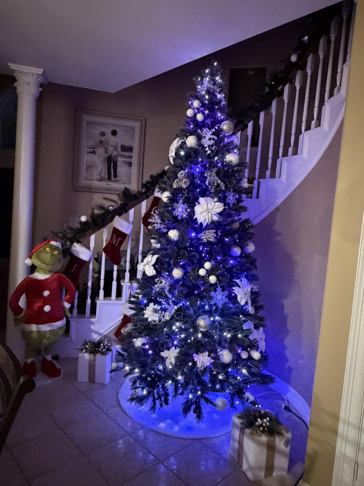 Govee Christmas Sparkle String Lights 66ft with 250 Bullet-Head LEDs customer photo 1