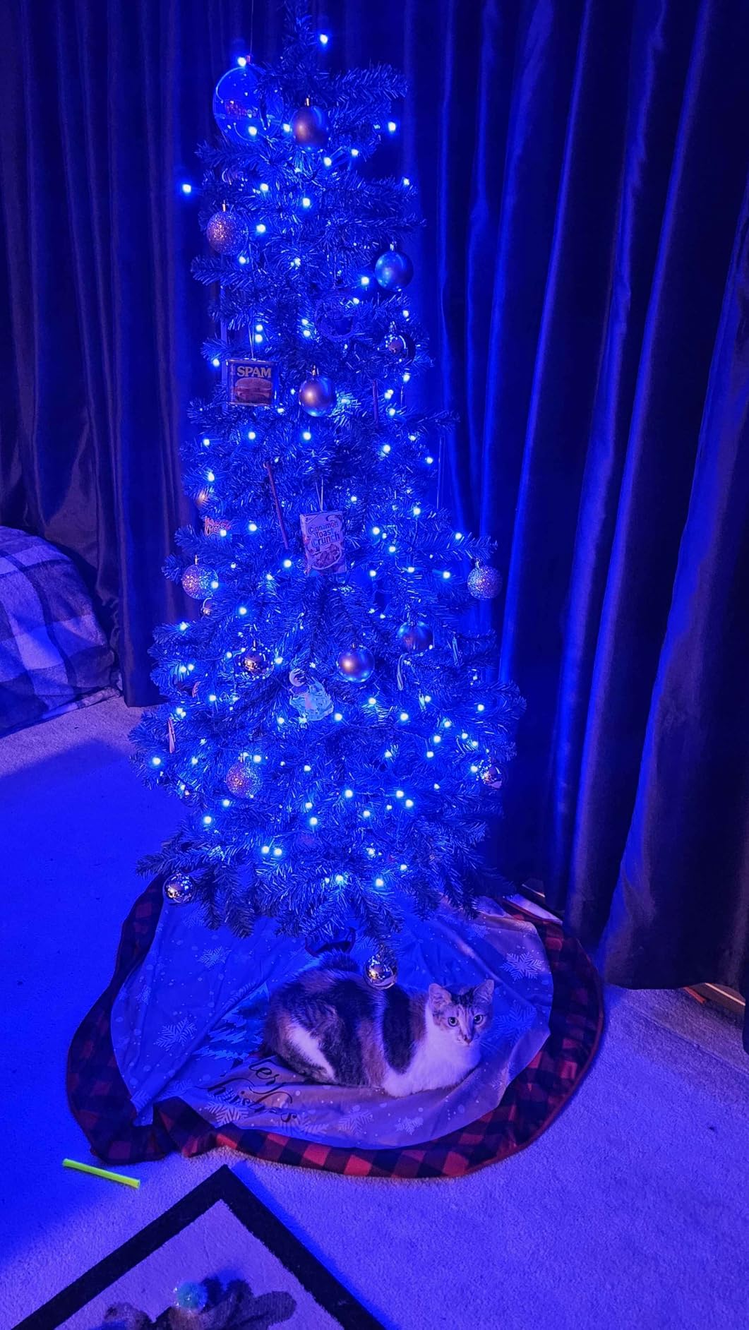 Govee Christmas Sparkle String Lights 66ft with 250 Bullet-Head LEDs customer photo 2