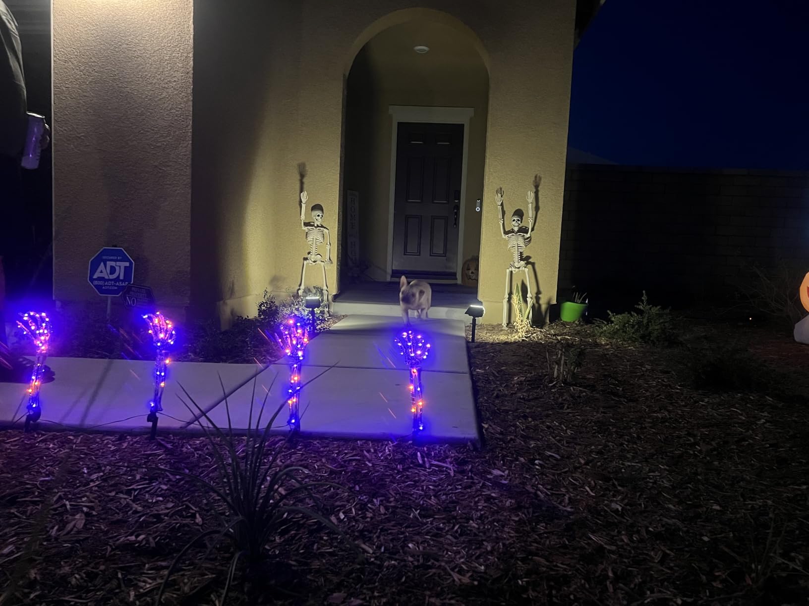 Halloween Decorations Outdoor,Solar 4 Pack Light Up Skeleton Arm Decorations,120 LED Purple & Orange Lights with 8 Modes,Halloween Skeleton Arm String Lights for Porches Yards Gardens Lawn customer photo 2