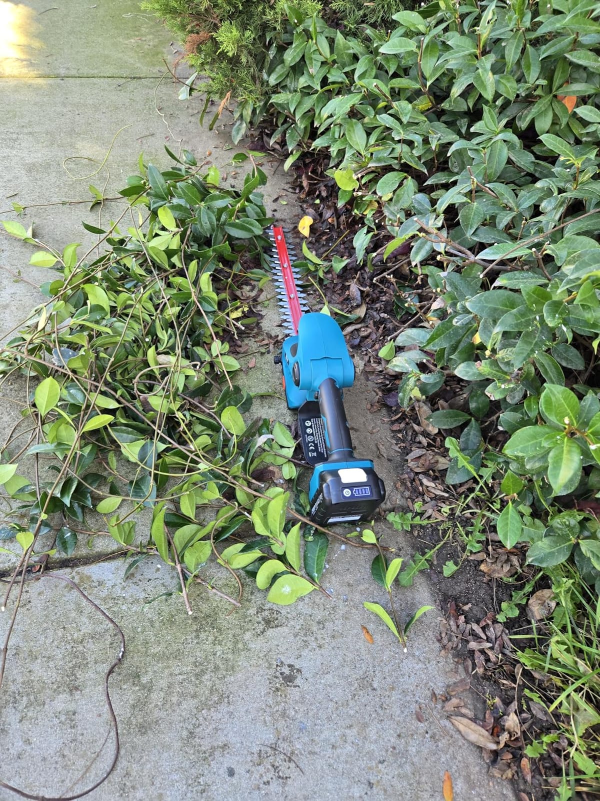 SEESII 2-in-1 Pole & Hedge Trimmer Cordless, 20