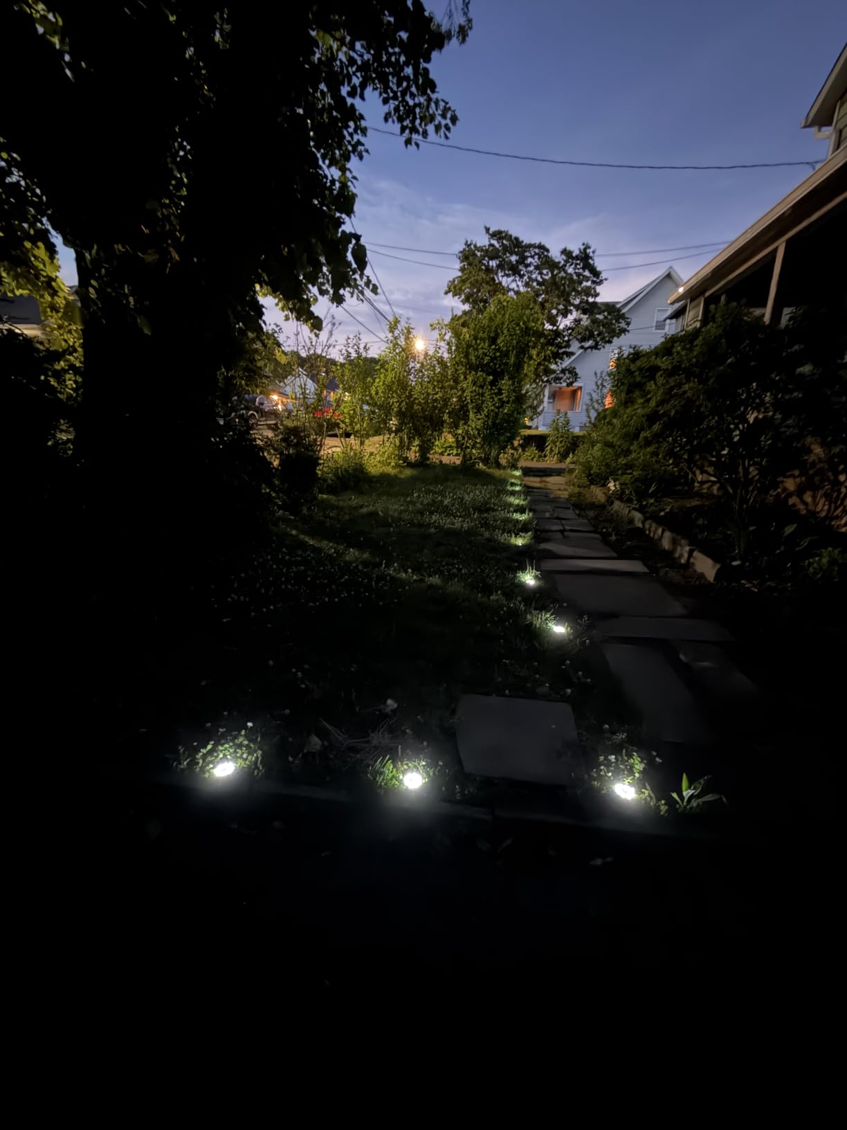 SOLPEX 12 Pack Small Solar Ground Lights, Driveway Lights Cool White | Solar Powered Pathway Lights Waterproof, Landscape Lighting for Walkway, Garden, Backyard, Patio customer photo 1