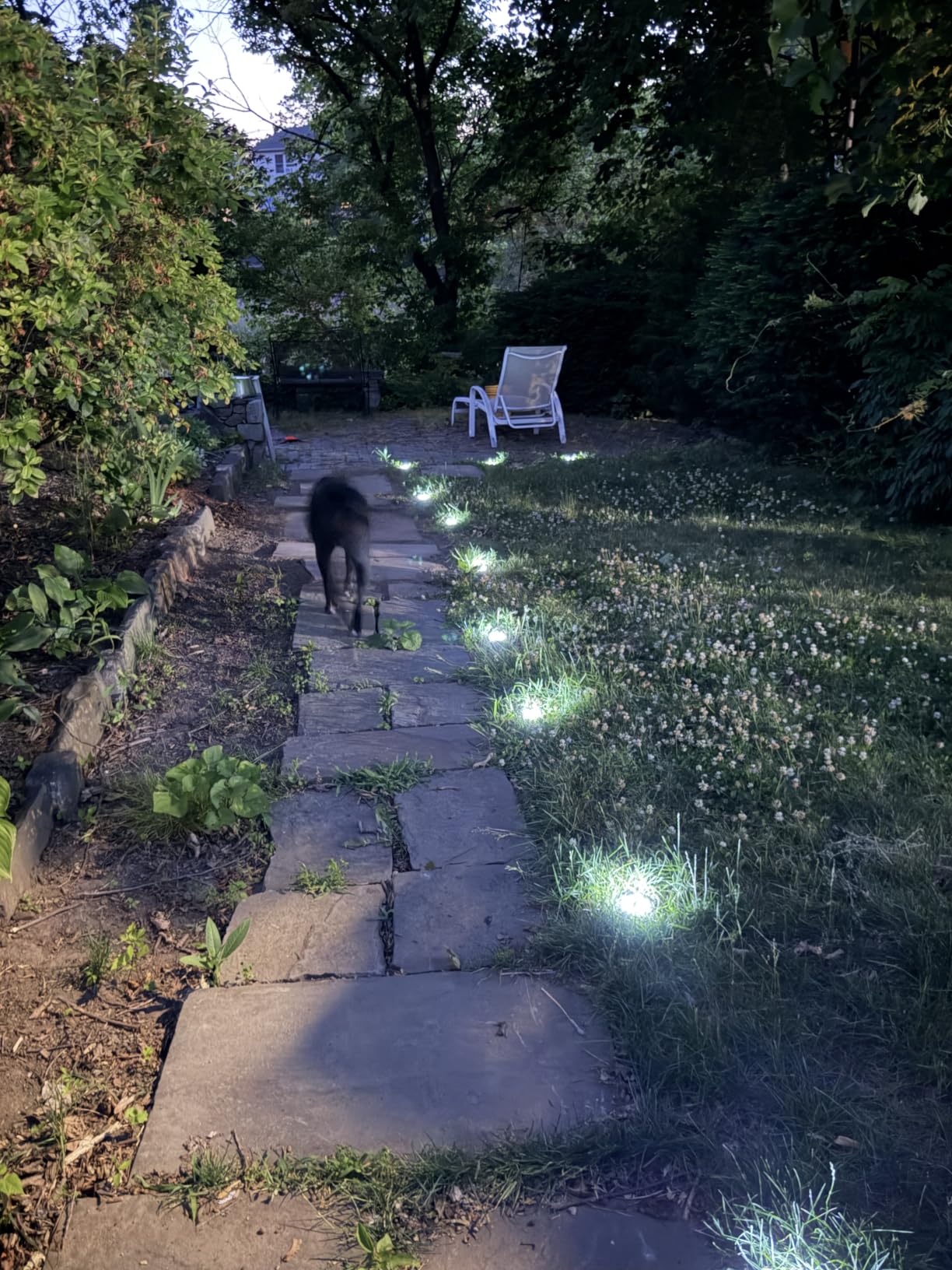 SOLPEX 12 Pack Small Solar Ground Lights, Driveway Lights Cool White | Solar Powered Pathway Lights Waterproof, Landscape Lighting for Walkway, Garden, Backyard, Patio customer photo 2