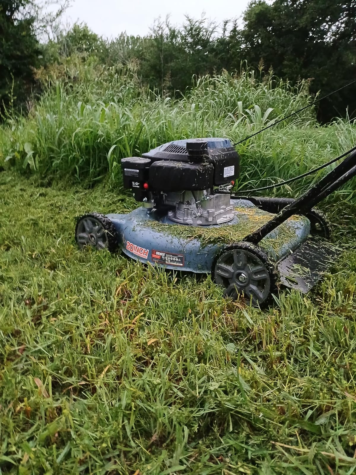 SENIX 22'' Self Propelled Gas Lawn Mower, 170cc Gas Lawnmower, Easy Start, 4-Cycle Engine, Bagging/Mulching/Side Discharge customer photo 2