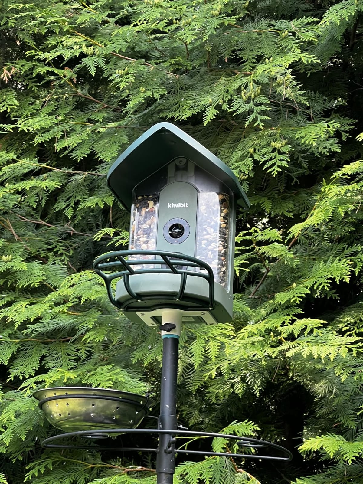 Kiwibit Solar Smart Bird Feeder with Camera, AI Bird Species Identification, 8MP Photos, 4K UHD Video Live Stream Wild Bird House Feeders for Outdoors, Bird Watching Gifts for Bird Lovers, Green customer photo 2