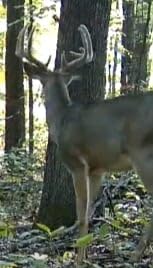 Moultrie Edge 3 Cellular Trail Camera - 2-Pack, 40MP, 0.5s Trigger | Scout from Anywhere, HD photos via Mobile app, 1080p video, multi-carrier, low-glow flash, GPS, Two Pack customer photo 1