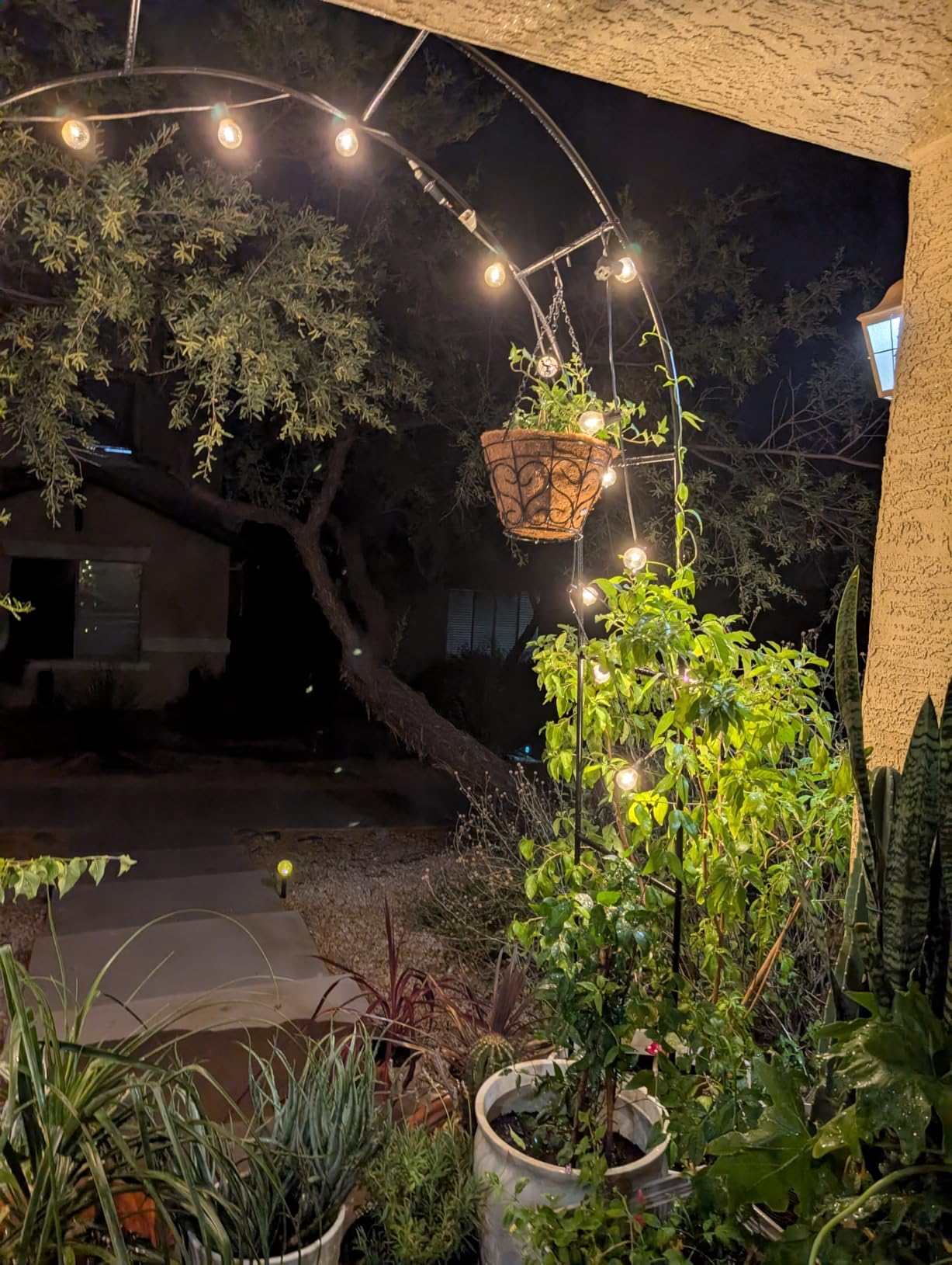 Garden Arch Galvanized Metal Rust-Proof Heavy Duty for Climbing Vines Roses | 7.6ft H x 4.6ft W Upgrade Garden Arbor for Plants, Flowers, Clematis, Jasmine, Party Decor for Wedding, Halloween, Christmas customer photo 2