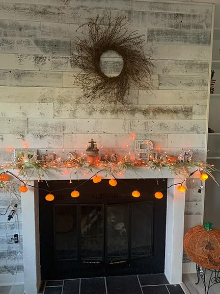TW SHINE Smart Christmas Lights, 100 LED 33FT Color Changing Halloween String Lights customer photo 1