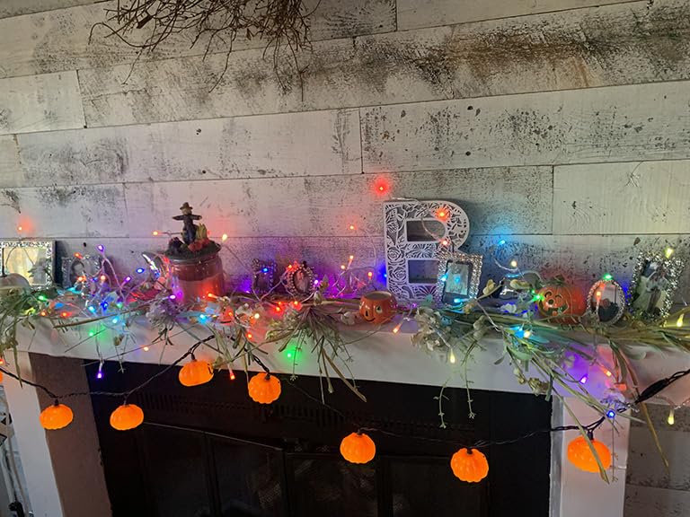 TW SHINE Smart Christmas Lights, 100 LED 33FT Color Changing Halloween String Lights customer photo 2