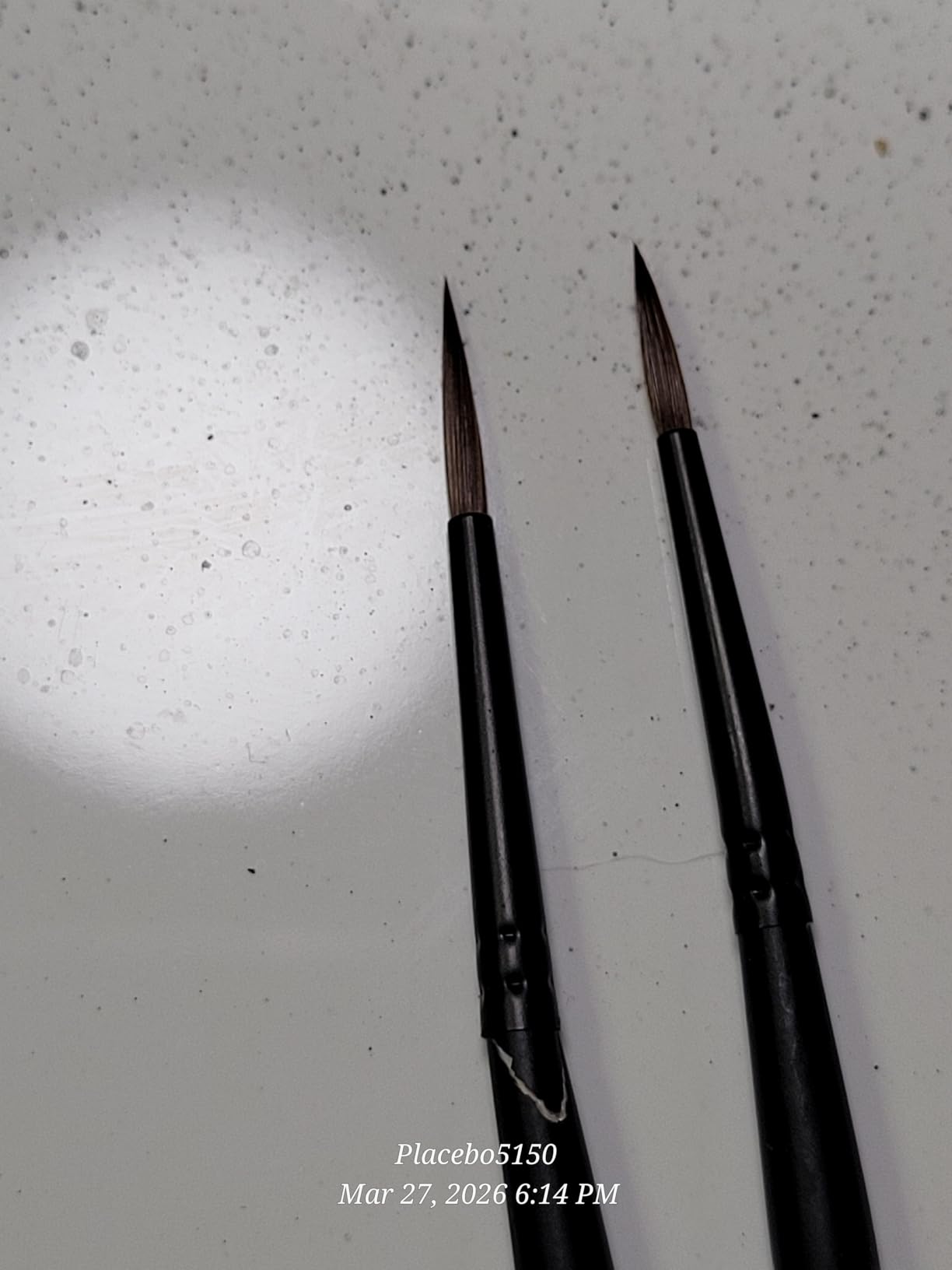 Golden Maple Kolinsky Sable Miniature Paint Brush Set - 6 Fine Point Professional Brushes for Model and Figure Painting customer photo 1