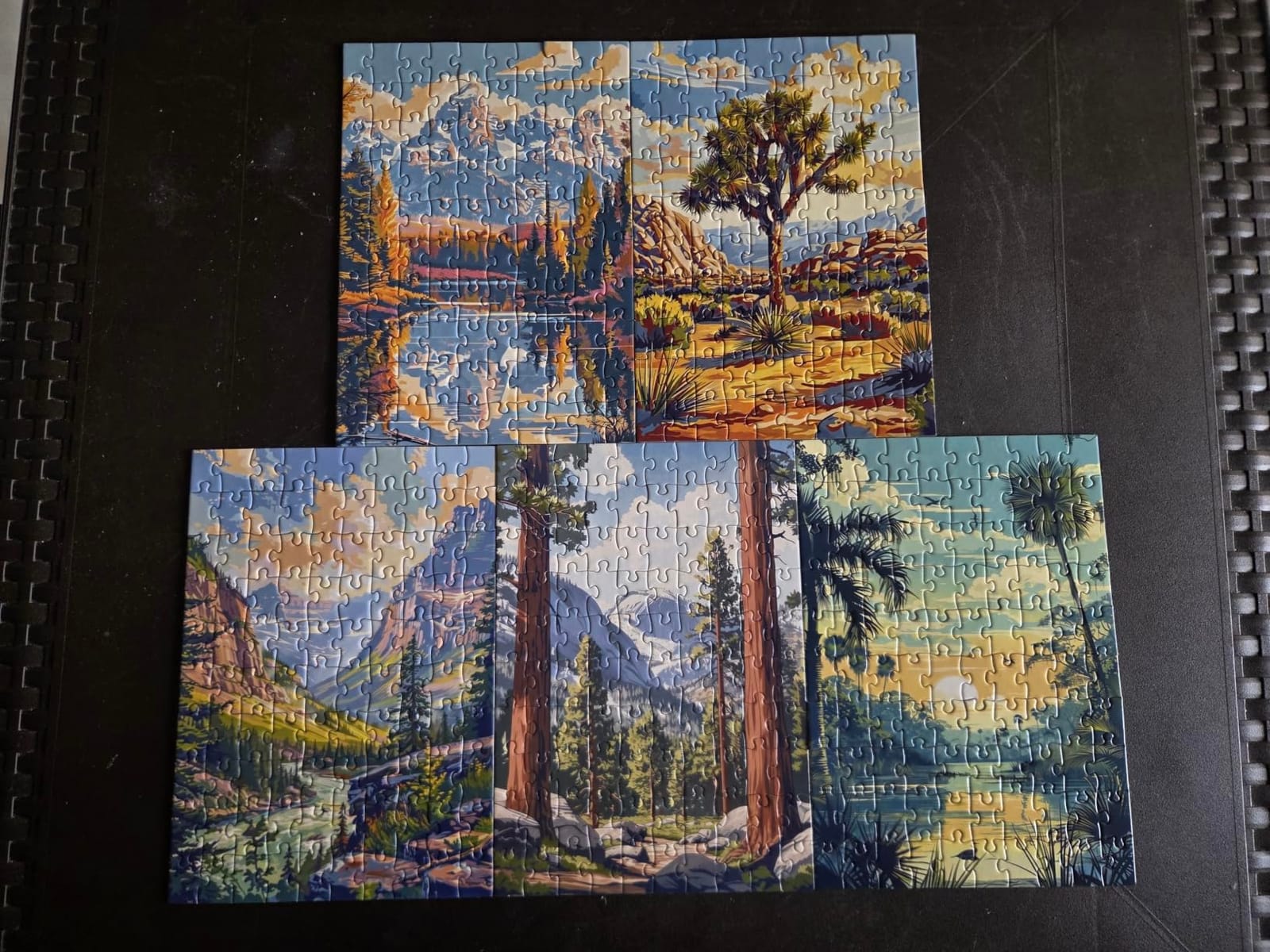 RoseArt - National Parks Jigsaw Puzzle Box Set - 16 Mini Puzzles, 100 Pieces Each - Colorful Puzzle Gift Set for Adults customer photo 2