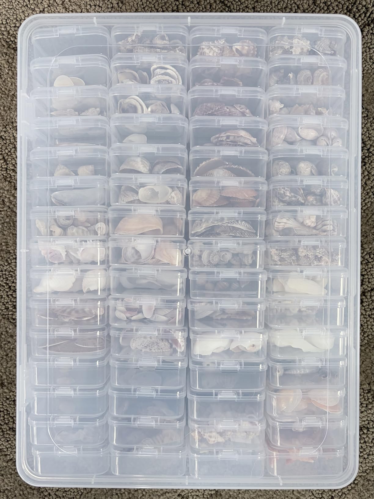 Bead Organizer Box, 60 Pack Small Clear Storage Boxes with Labels, Large Travel Craft Case with Handle, Mini Plastic Containers for Jewelry Making Diamonds DIY Pony Bracelet Screws Seeds Small Parts customer photo 1