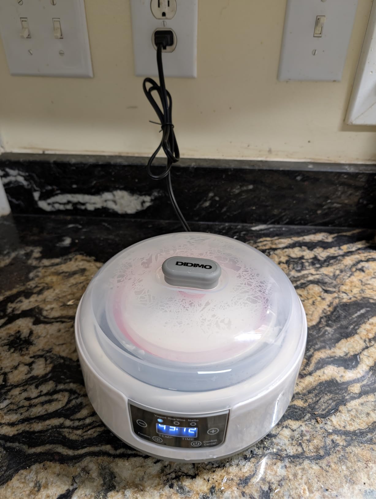 Yogurt Maker, 1.3QT Greek Yogurt Machine With Adjust Temp & Timer | 1.3L Automatic Natto Maker With Stainless Steel Bowl, BPA Free, Digital Rice Wine Curd Maker for Home Kitchen customer photo 1