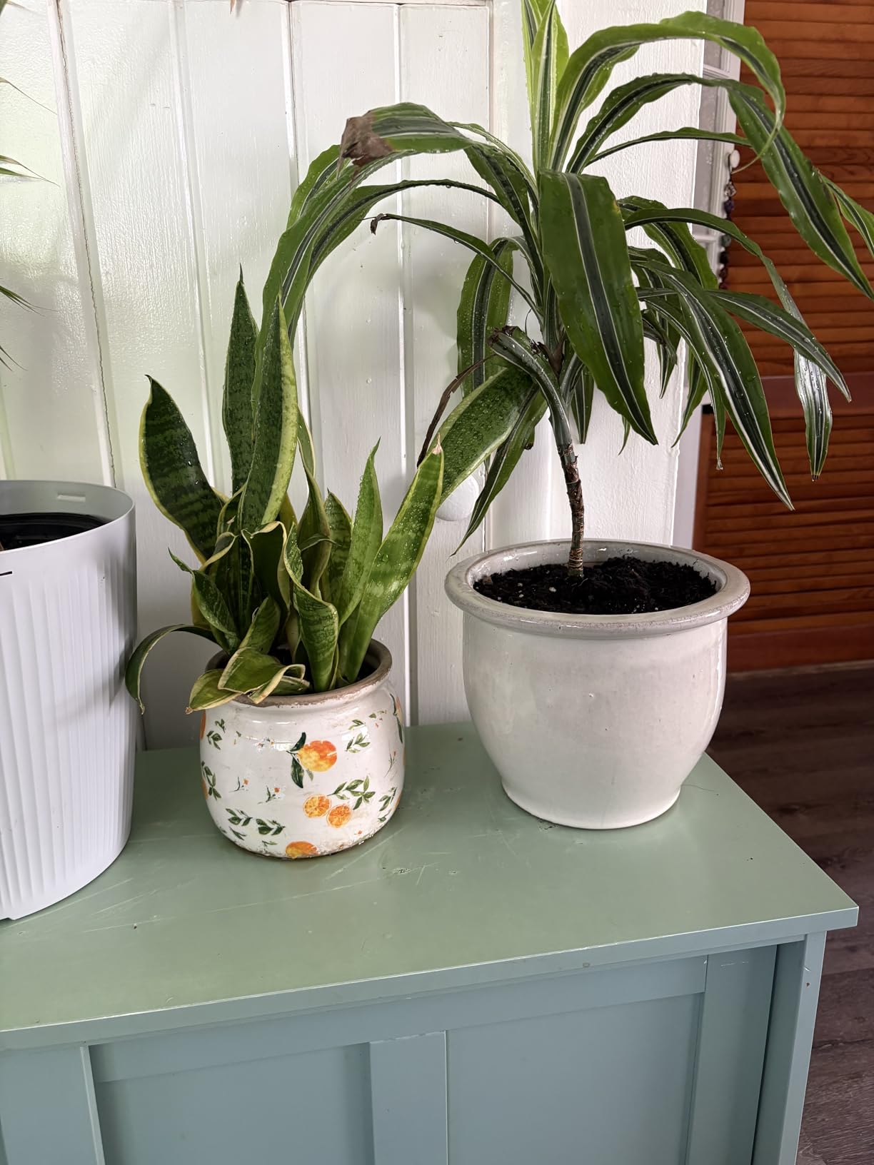 Xiaan Jiaju Pots for Plants, Ceramic Planters for Indoor/Outdoor Plants | 6.29