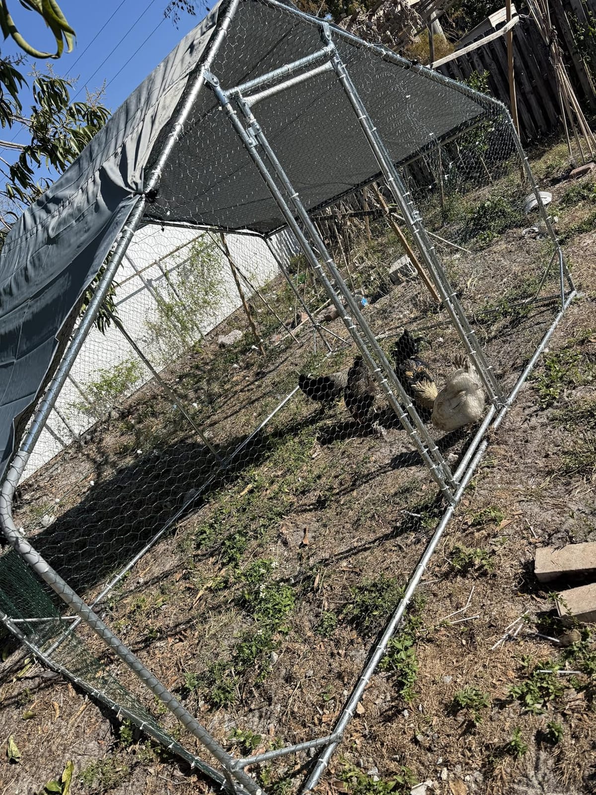 Aoxun Large Metal Chicken Coop, Outdoor Chicken Runs for Yard with Cover, Spire Roof Hen House Enclosure with Security Lock, Walk-in Cage Peak Hen House for Yard Farm (10x20x6.4 FT) customer photo 1