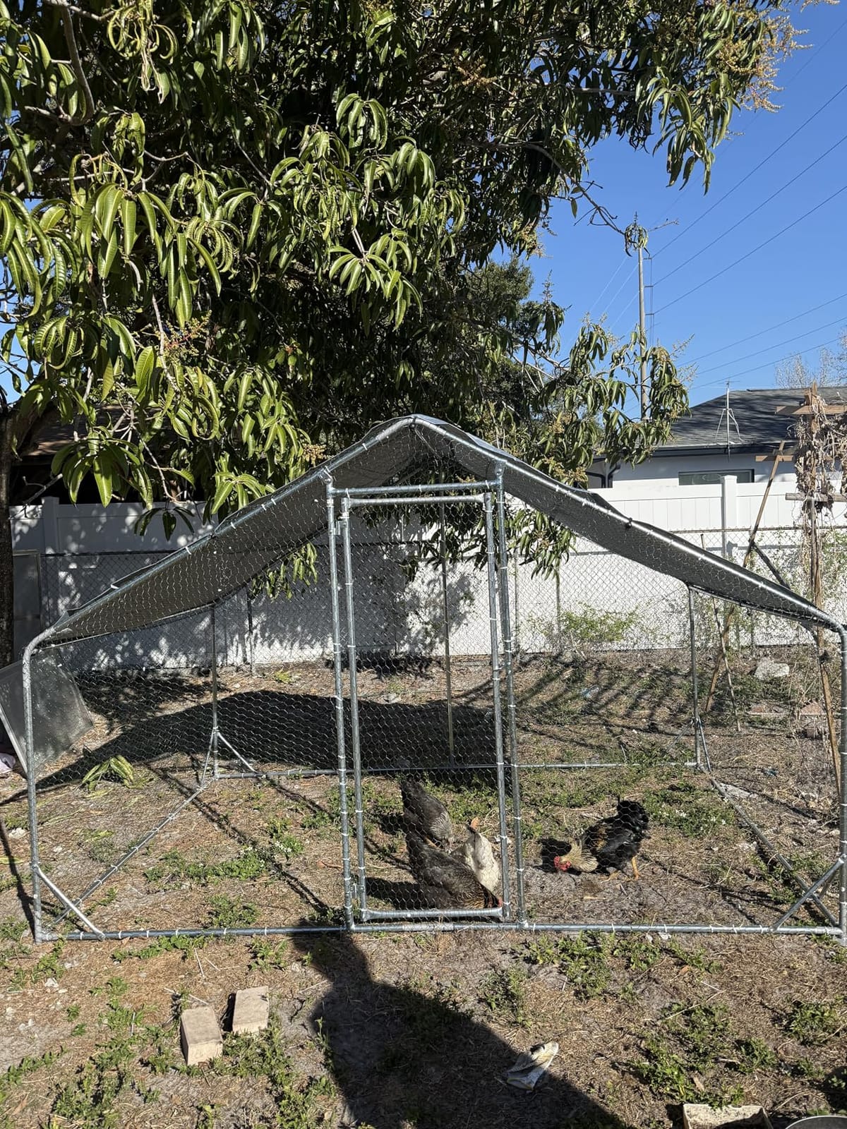 Aoxun Large Metal Chicken Coop, Outdoor Chicken Runs for Yard with Cover, Spire Roof Hen House Enclosure with Security Lock, Walk-in Cage Peak Hen House for Yard Farm (10x20x6.4 FT) customer photo 2