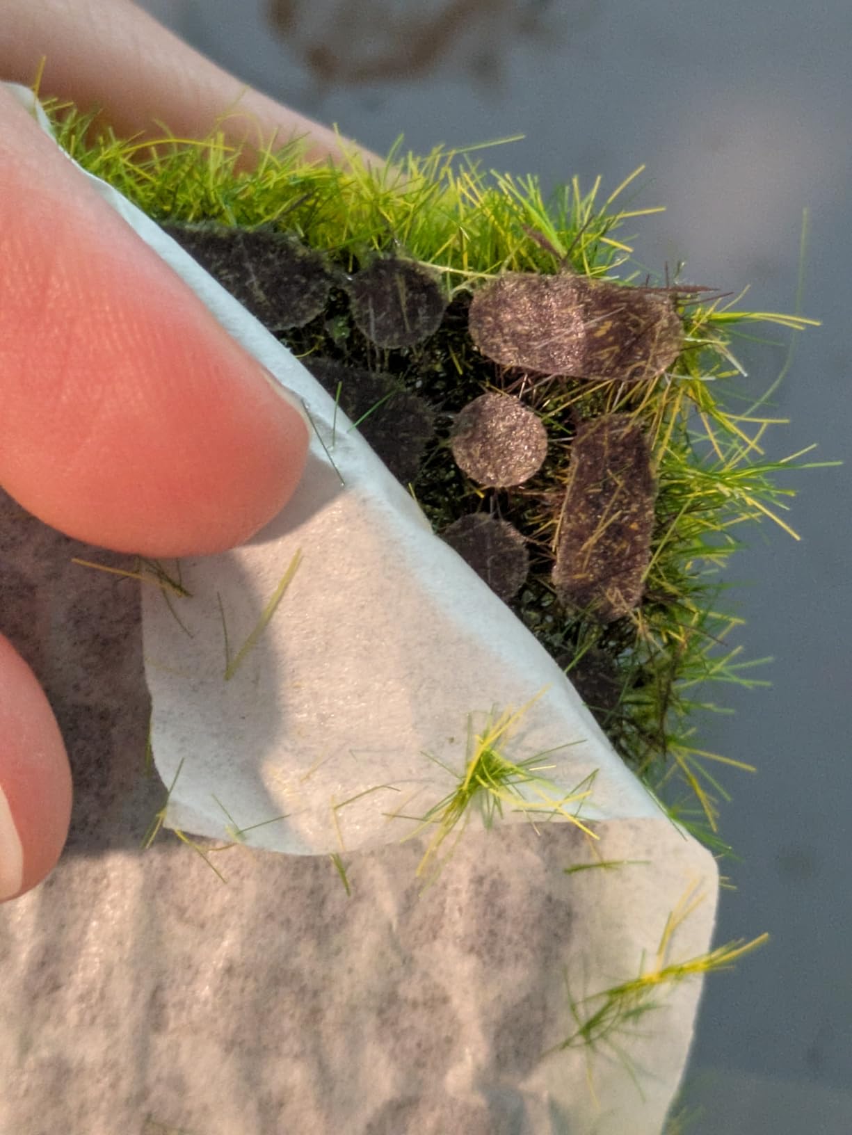 Miniature Basing Material Set - 8-Piece Battlefield Scenery Kit with Static Grass, Moss, Tufts & Model Stones - Realistic Diorama Supplies for Wargaming, Train Layouts & Military Models customer photo 1