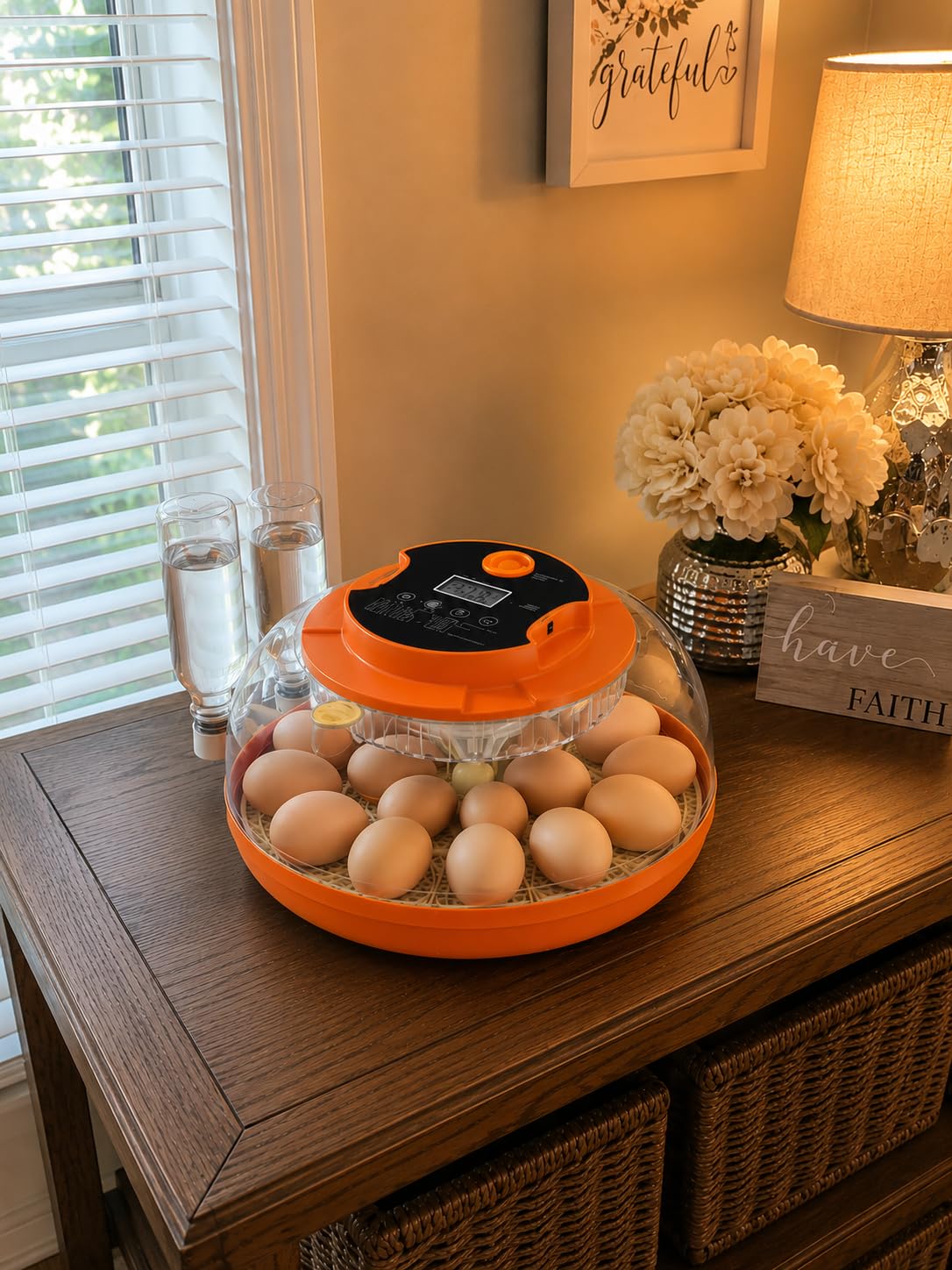 18 Egg Incubators for Hatching Eggs, Automatic Egg Turning and Humidity Control Incubator for Hatch Chicken Duck Quail Pigeon Pheasant Partridge Home Classroom Lab customer photo 2