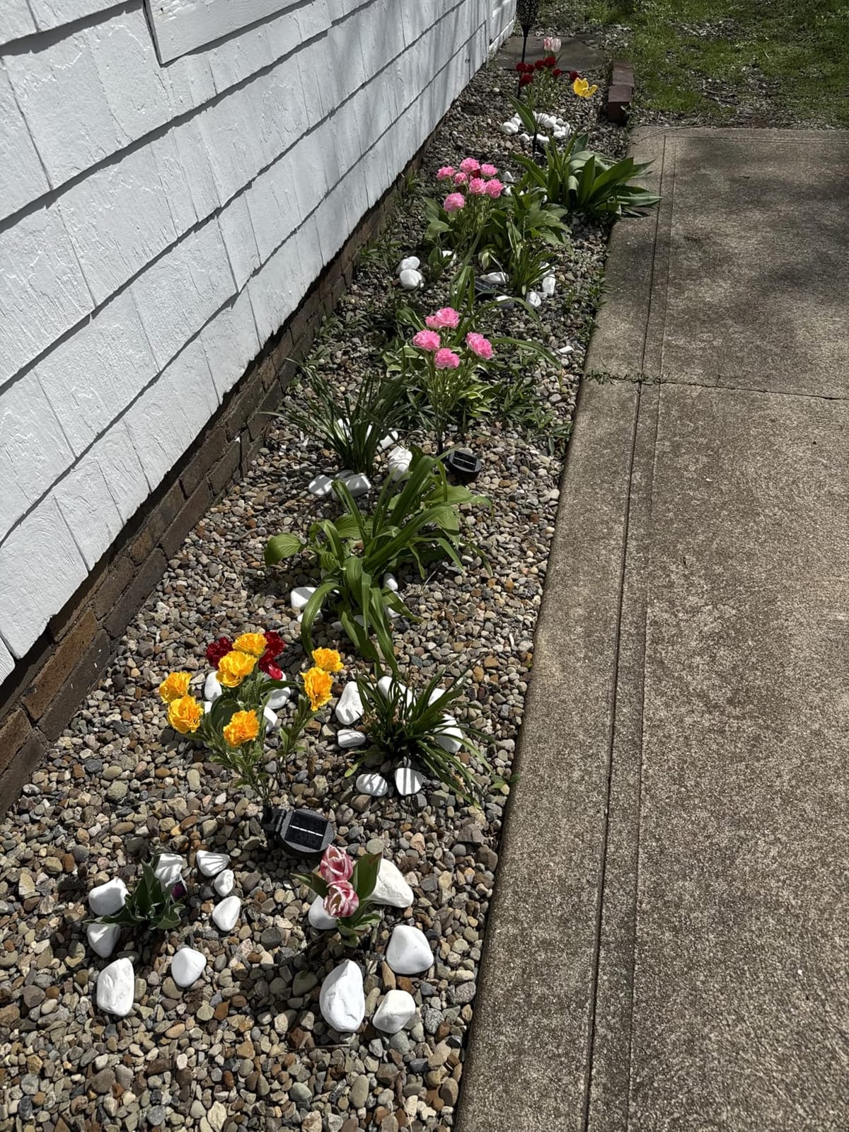 4 Pack Solar 28 Carnations Flowers Outdoor, 2 Modes, Multicolored | Flower Lights, IP65 Waterproof, Auto On/Off, Solar Powered, Garden Decor, for Pathway, Yard, Patio customer photo 1
