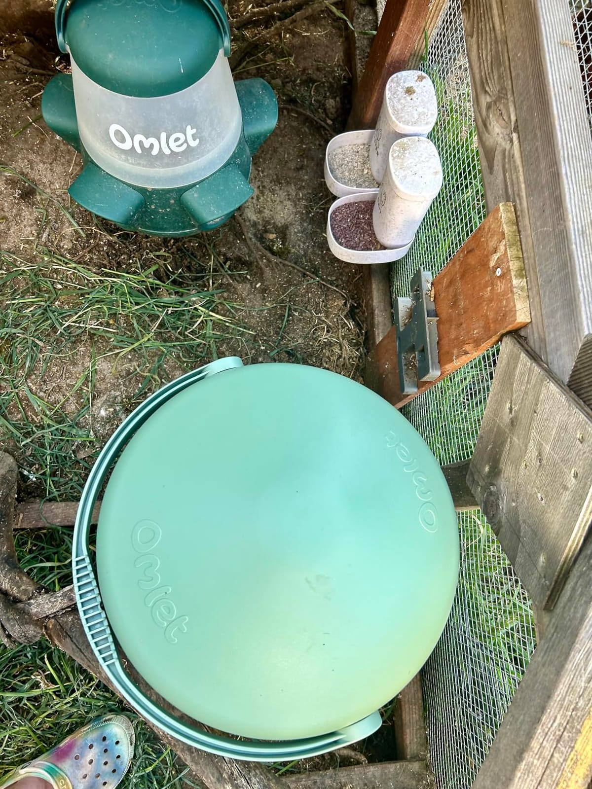 Omlet Insulated Chicken Waterer, 3 Gallon | Automatic Poultry Water Dispenser with 5 Cups & Nipples Included | BPA-Free | Anti-Roost Lid | Sage Green customer photo 1