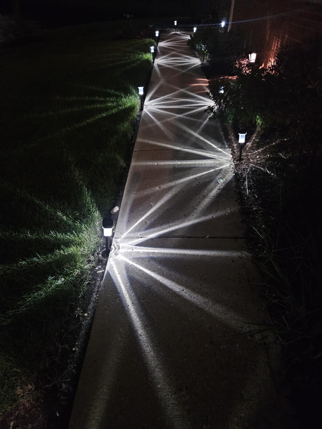 Solar Pathway Lights Outdoor, 12PK Waterproof Solar Powered Garden Lights | IP55 Waterproof, 6000K Cold White LED, Auto On/Off Outdoor Solar Lights for Yard Driveway Patio Decor customer photo 1