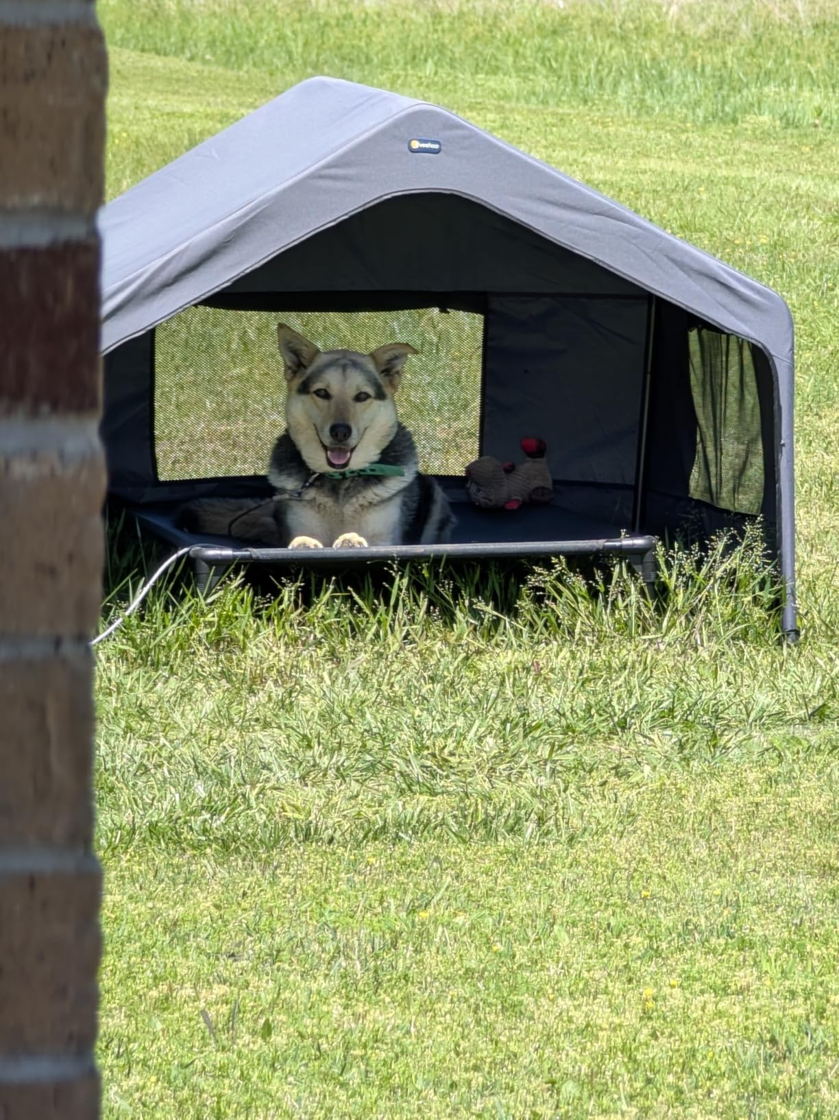 Veehoo Extra Large Dog House Outdoor Includes Elevated Dog Bed-Weatherproof | Waterproof Outside Dog Tent 4.1' x 4.1' x 3.3', Dog Shade Shelter and Raised Bed Combo for Pets or Stray Animals, Grey customer photo 1