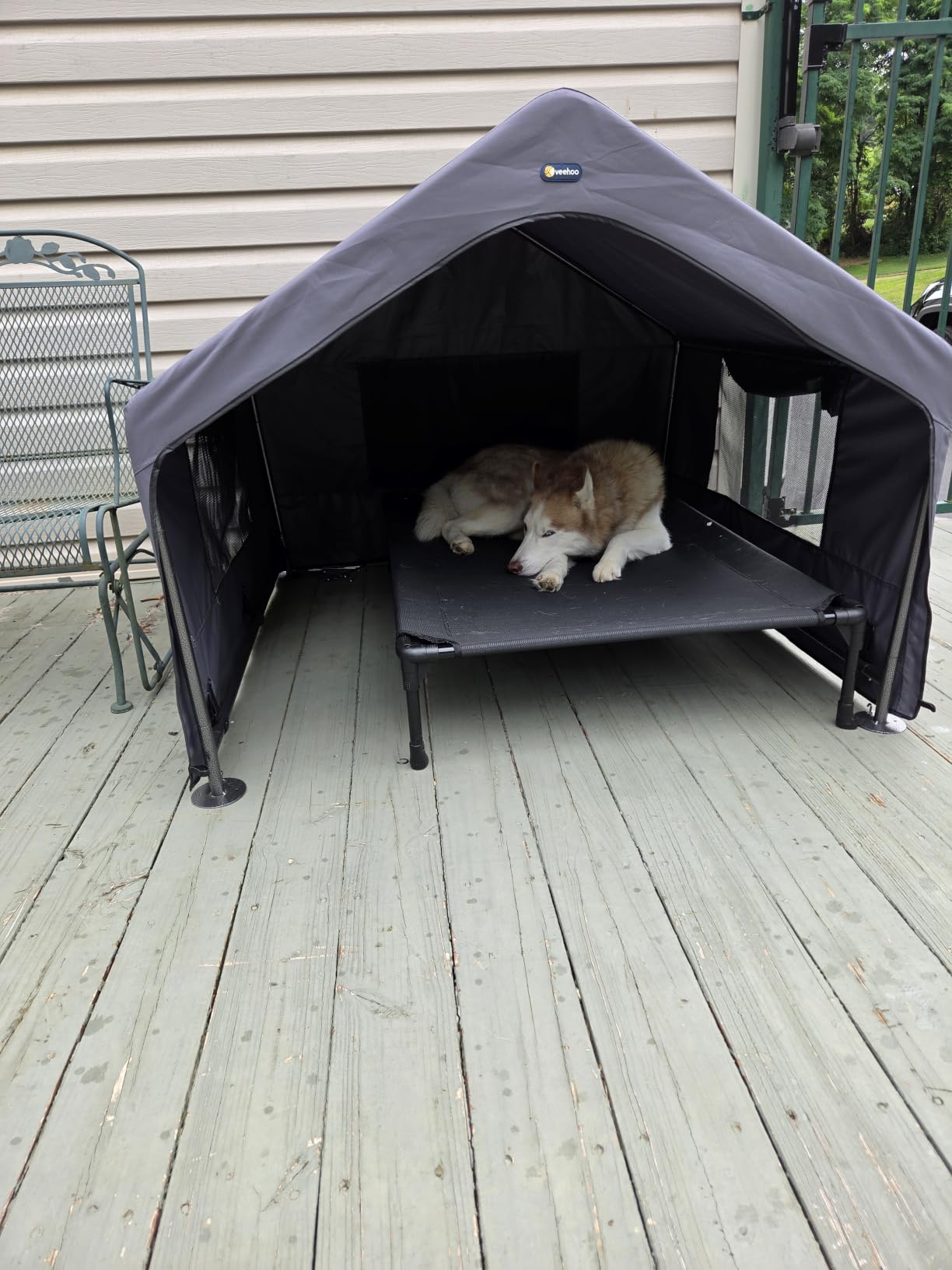 Veehoo Extra Large Dog House Outdoor Includes Elevated Dog Bed-Weatherproof | Waterproof Outside Dog Tent 4.1' x 4.1' x 3.3', Dog Shade Shelter and Raised Bed Combo for Pets or Stray Animals, Grey customer photo 2