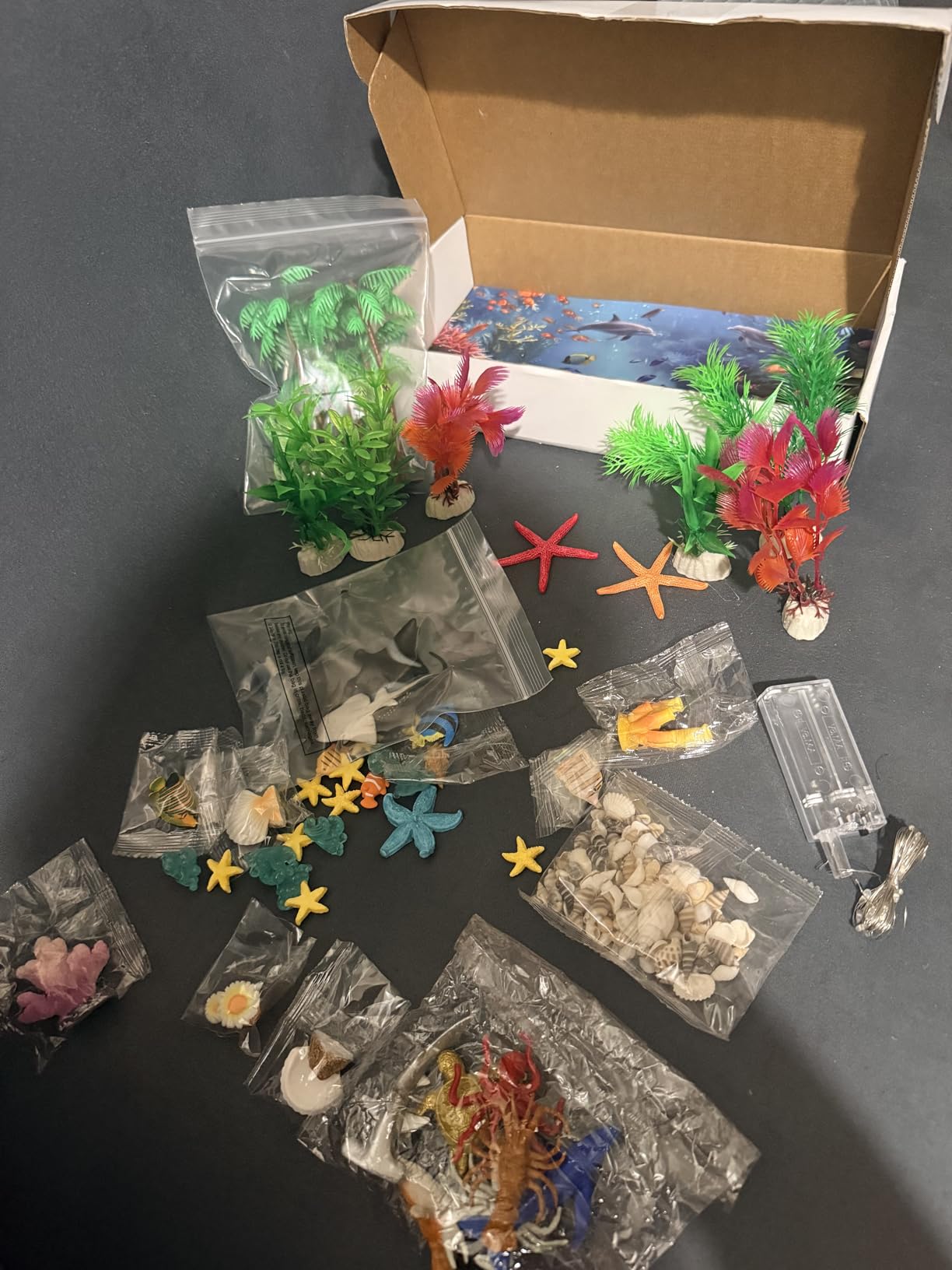 60 Pcs Ocean Diorama Kit Habitat Project Box Set 3D Ocean | Diorama Supplies Include Under The Sea Animals Figures Artificial Coral Seagrass with Cardboard for DIY Crafts Gifts customer photo 1