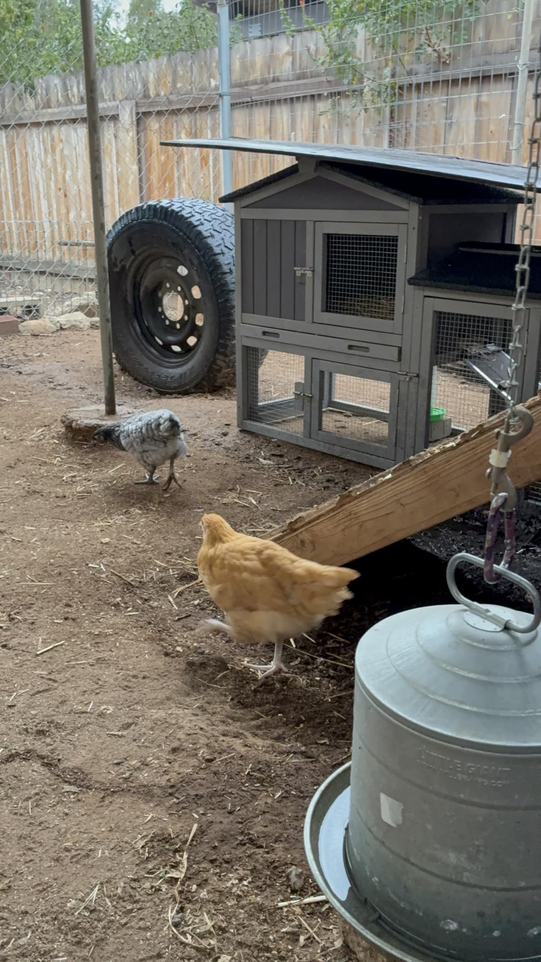 Aivituvin Chicken Coop for 2 Chickens, Outdoor Wooden Rabbit Hutch Hen House Poultry Quail Cage with Weatherproof Asphalt Roof, Leakproof Pull-Out Tray for 2 Rabbits or Small Animals customer photo 2