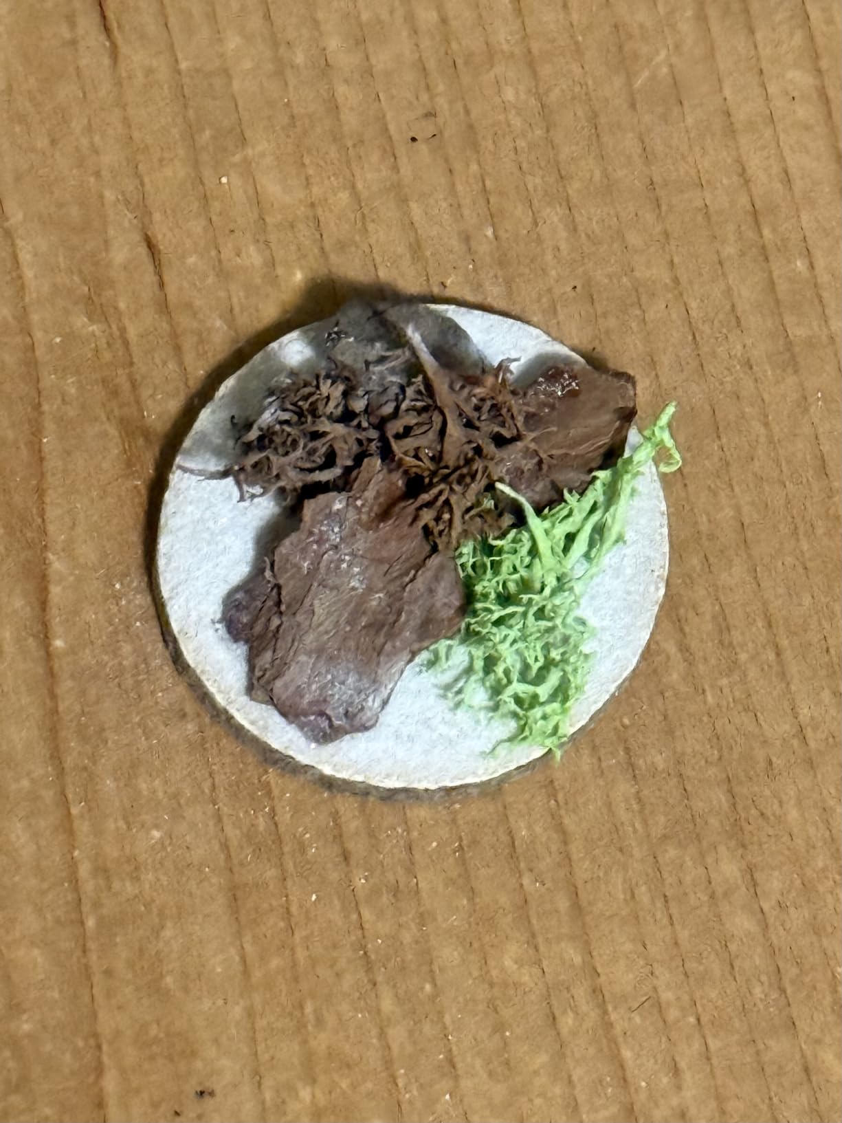 golden maple Basing Kit - Miniature Basing Material & Terrain, Static Grass | Static grass + basing glue kit - miniature basing material for miniature terrain, ready for model bases and dioramas customer photo 1