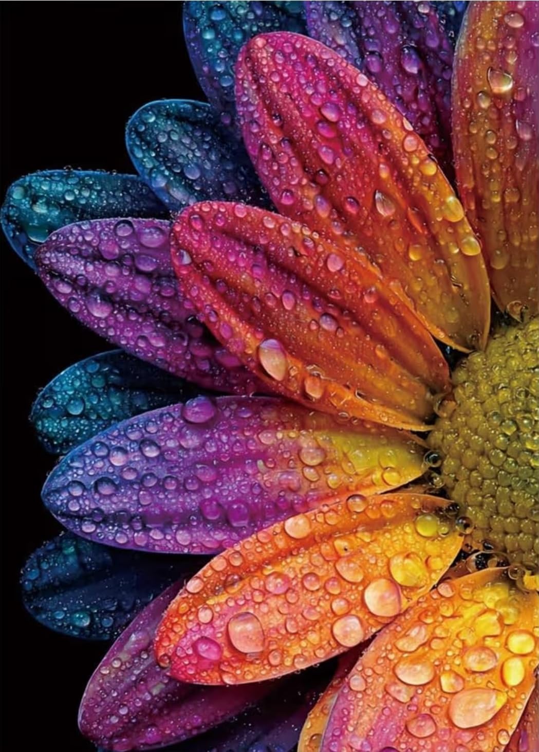 Rainbow Daisy with Water Drops Diamond Painting Kits for Adults, Colorful Macro Flowers Dewdrop 5D Full Round Drill DIY Diamond Art Kits for Beginners, Gem Art and Crafts Home Wall Decor 12x16 Inch customer photo 1