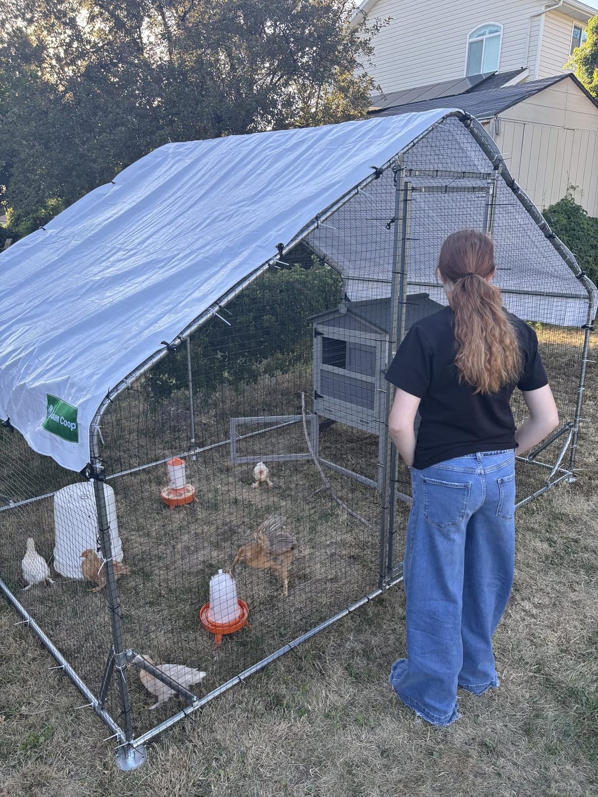 Metal Chicken Coop with Hardware Cloth, Walk-in Poultry Cage for Hen Duck | Hardware Cloth, Solar Light Included, UV-Resistant Waterproof Cover, Large Walk-in Space for 15-20 Birds customer photo 2