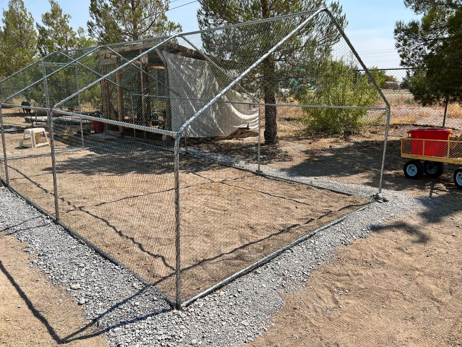 Walk-in Chicken Coop 234