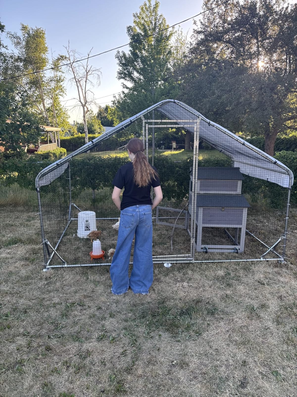 Walk-in Chicken Coop 234