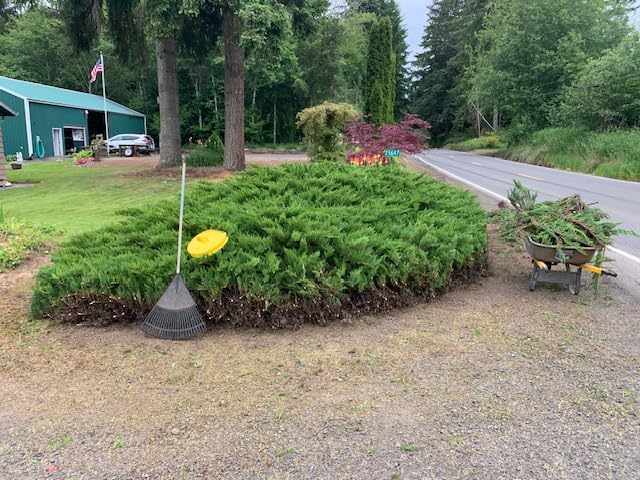 MZK 20V Cordless Hedge Trimmer, Bush & Shrub Cutter, 23-Inch Blade | Cordless hedge trimmer with extension pole for tall hedges, shrubs, garden edges, and overhead trimming. customer photo 1