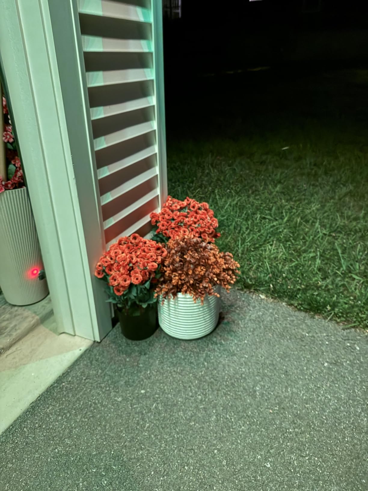 2Pcs Fall Artificial Daisy Flower Topiary Tree Fake Mums for Porch(Orange) | No Assembly Needed, UV-resistant, Fake Pompon Mum Potted Plants, for Front Door/Garden/Farmhouse/Outdoor/Autumn Decor customer photo 2