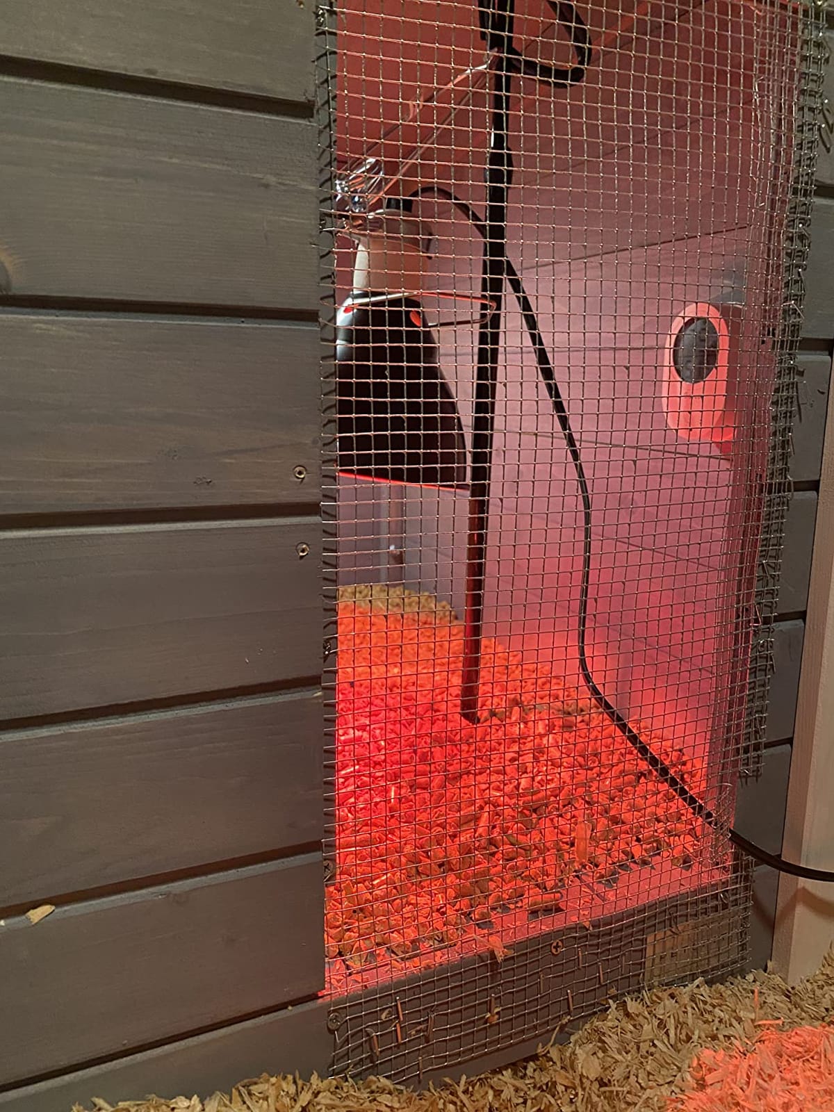 Petsfit Outdoor Chicken Coop with Run for 4-6 Chickens, 3 Nesting Boxes | 71 x 42 x 45 in; predator-resistant ground anchors, 3-door cleaning access, washable floor, 3 perches and chicken swing customer photo 1