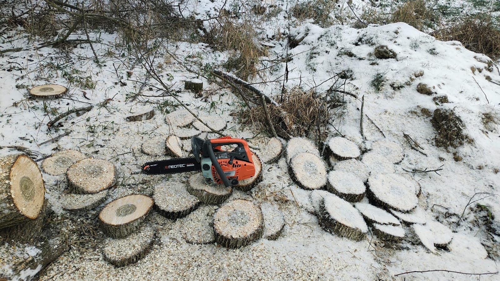 NEO-TEC 62cc 20 Inch Gas Powered Chainsaw 2-Cycle Petrol 3.5HP Handheld Reliable Motosierra De Gasolina for Tree Pruning Wood Cutting Firewood Preparation and Yard Maintenance customer photo 1