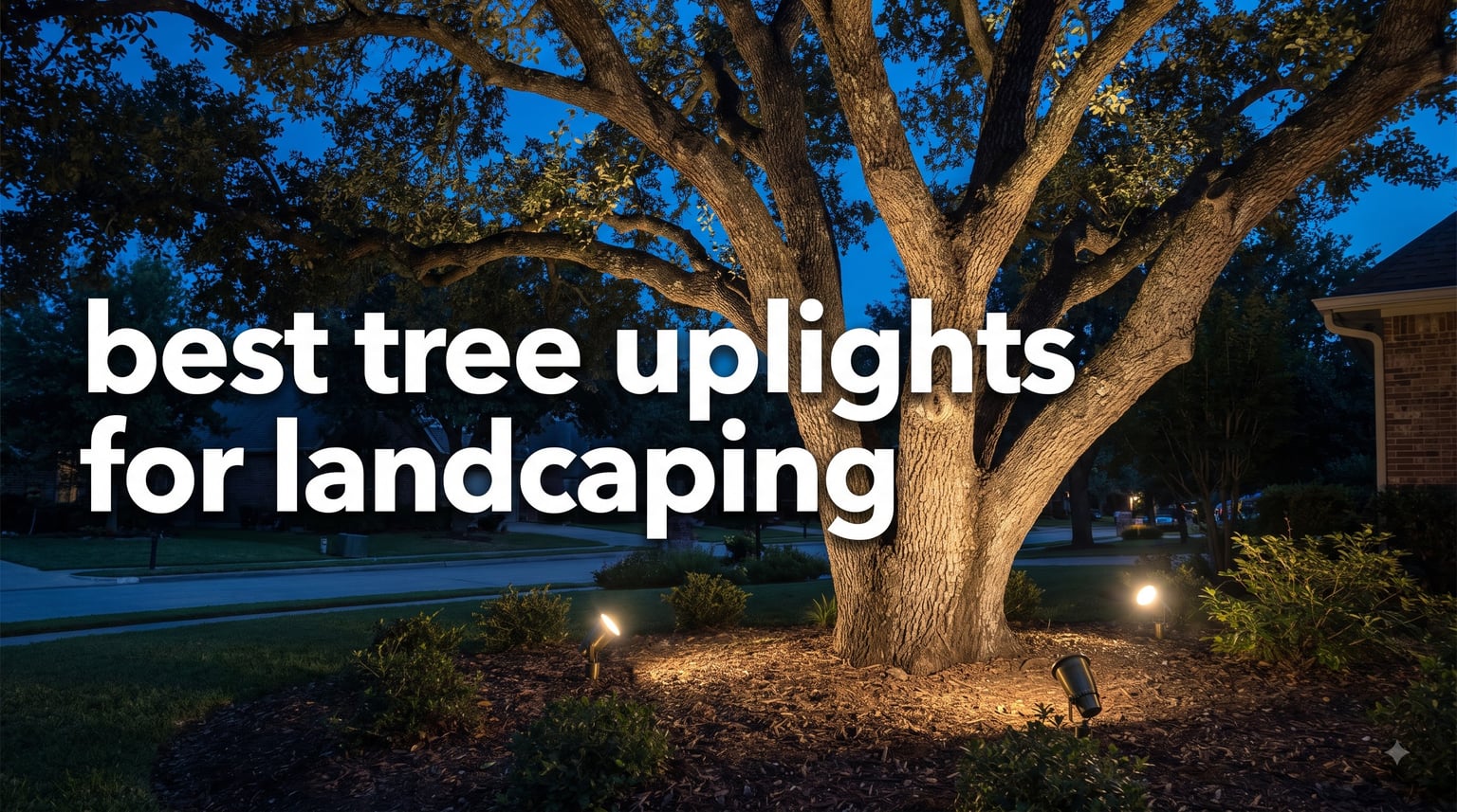best tree uplights for landscaping