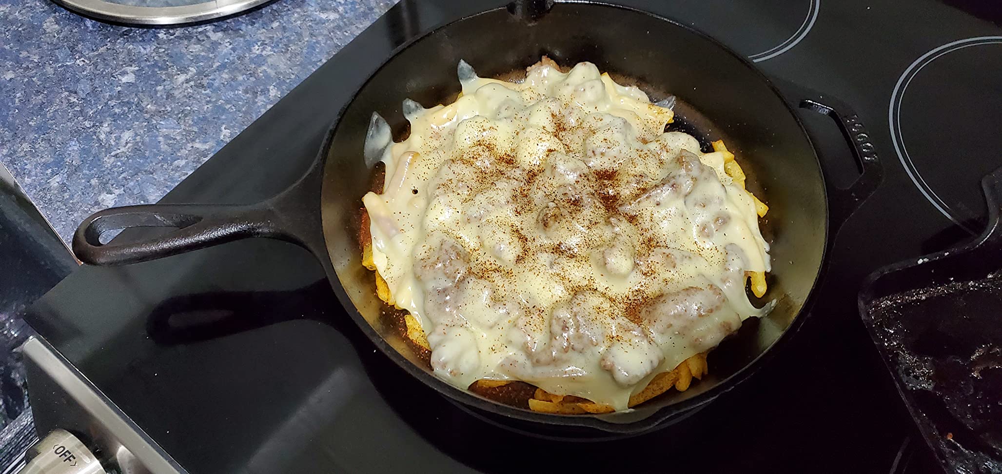 Lodge Pre-Seasoned Cast Iron Skillet, PFAS-Free, 10.25 Inches customer photo 2