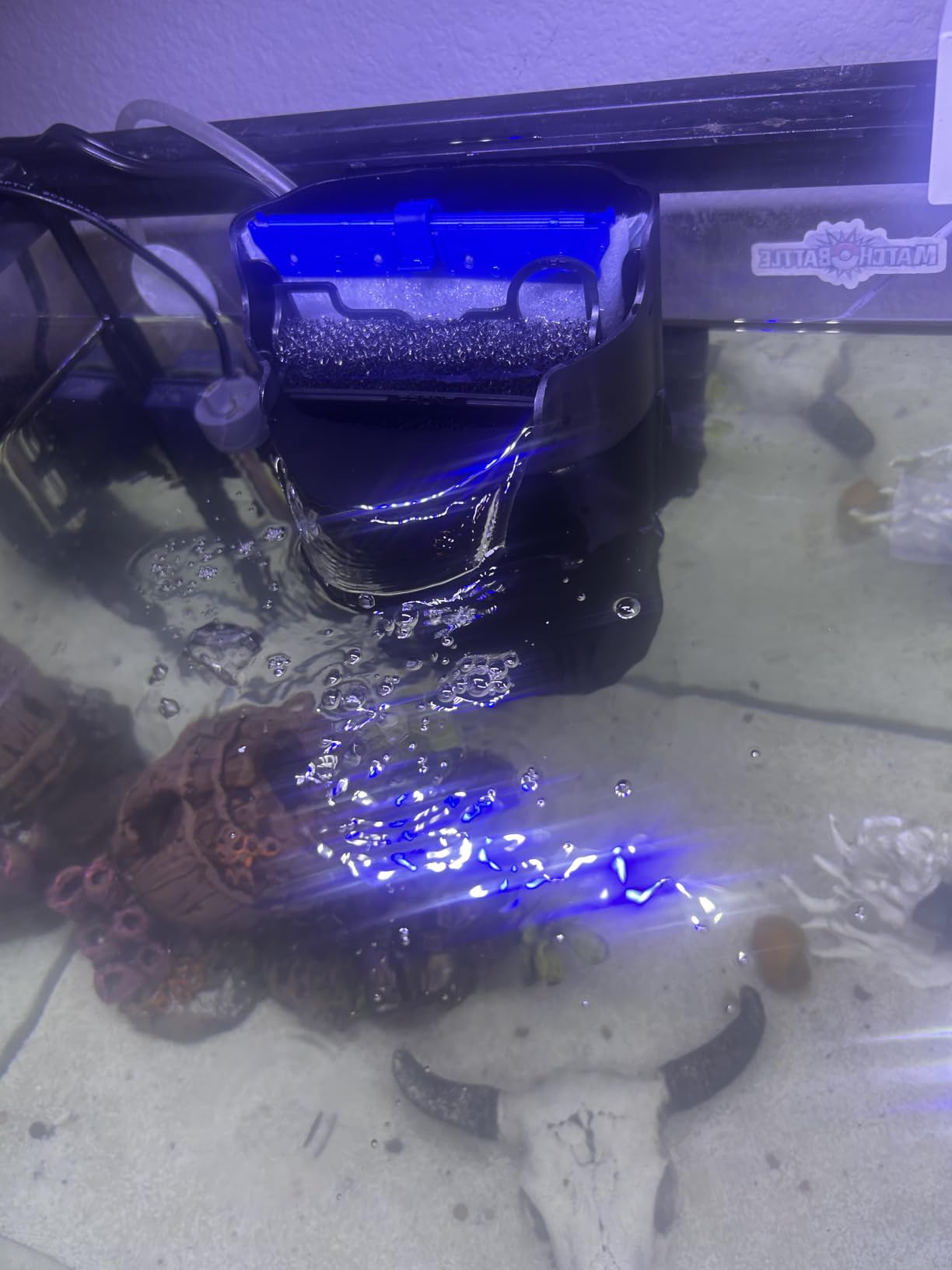 Tetra Whisper 170 GPH Internal Power Aquarium Filter customer photo 2