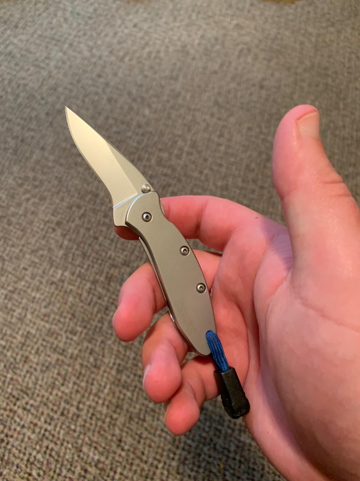 Kershaw Chive Pocket Knife, 1.9 Inch 420HC Steel Blade, Speedsafe Assisted Opening, Made in the USA, (1600) customer photo 2