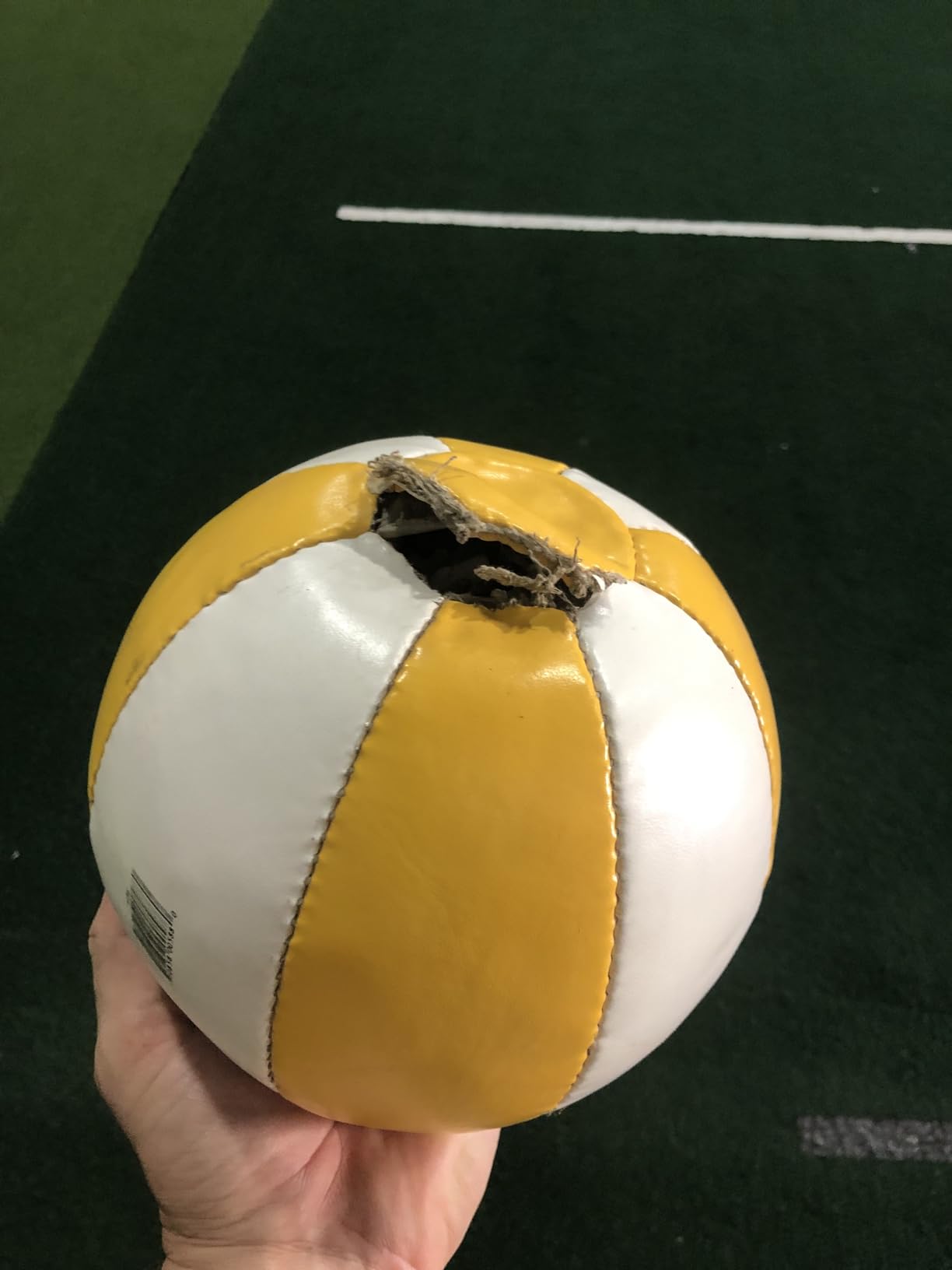 Champion Sports Leather Medicine Balls – Durable Weighted Balls for Strength, Core & Conditioning Training customer photo 2